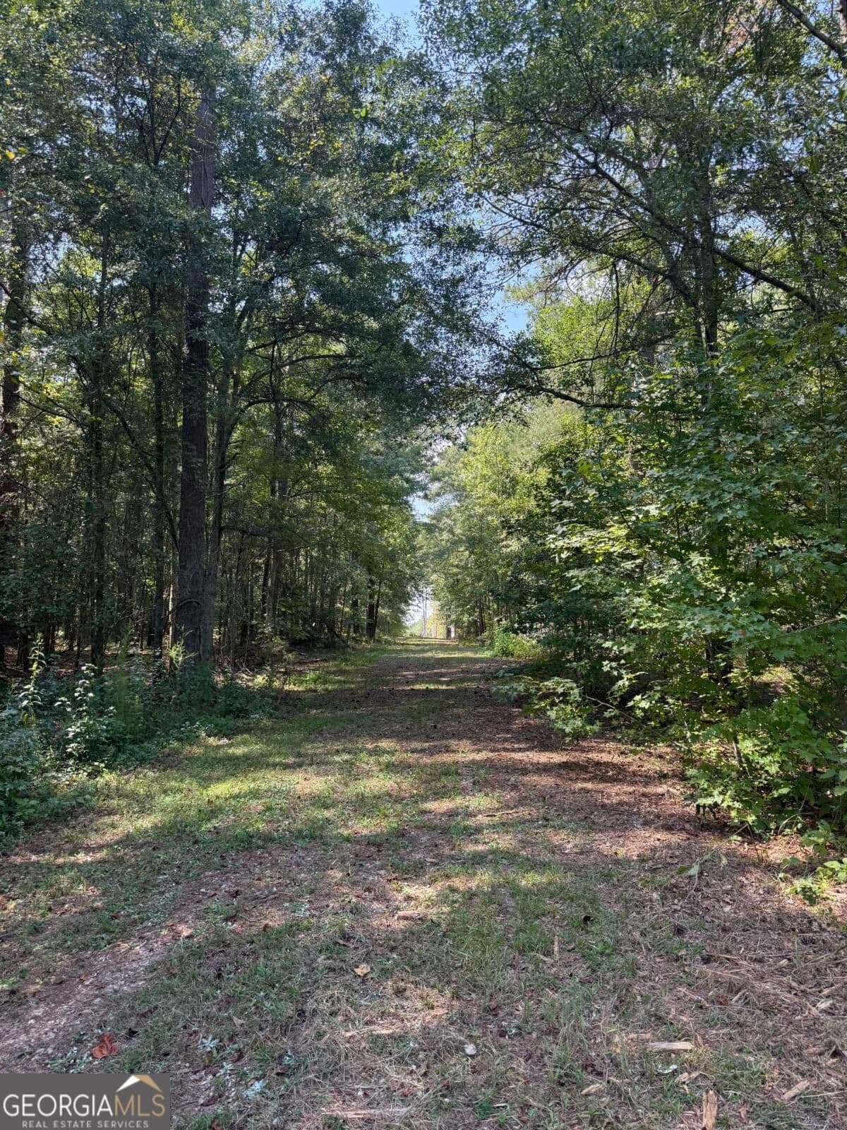 agriculture for sale at 0 Monroe Highway, Bethlehem, GA 30620 — photo 3