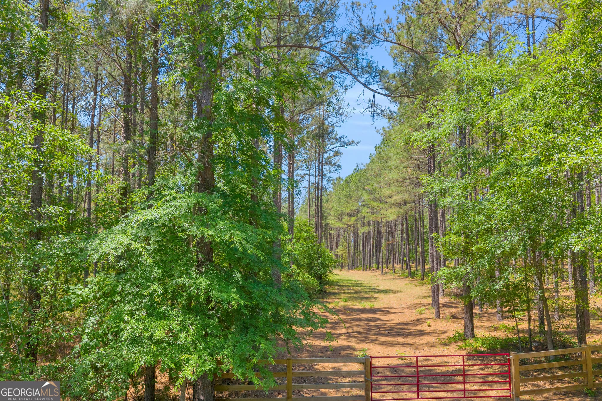 agriculture for sale at 0 Hidden Harbor Road, Lincolnton, GA 30817 — photo 2