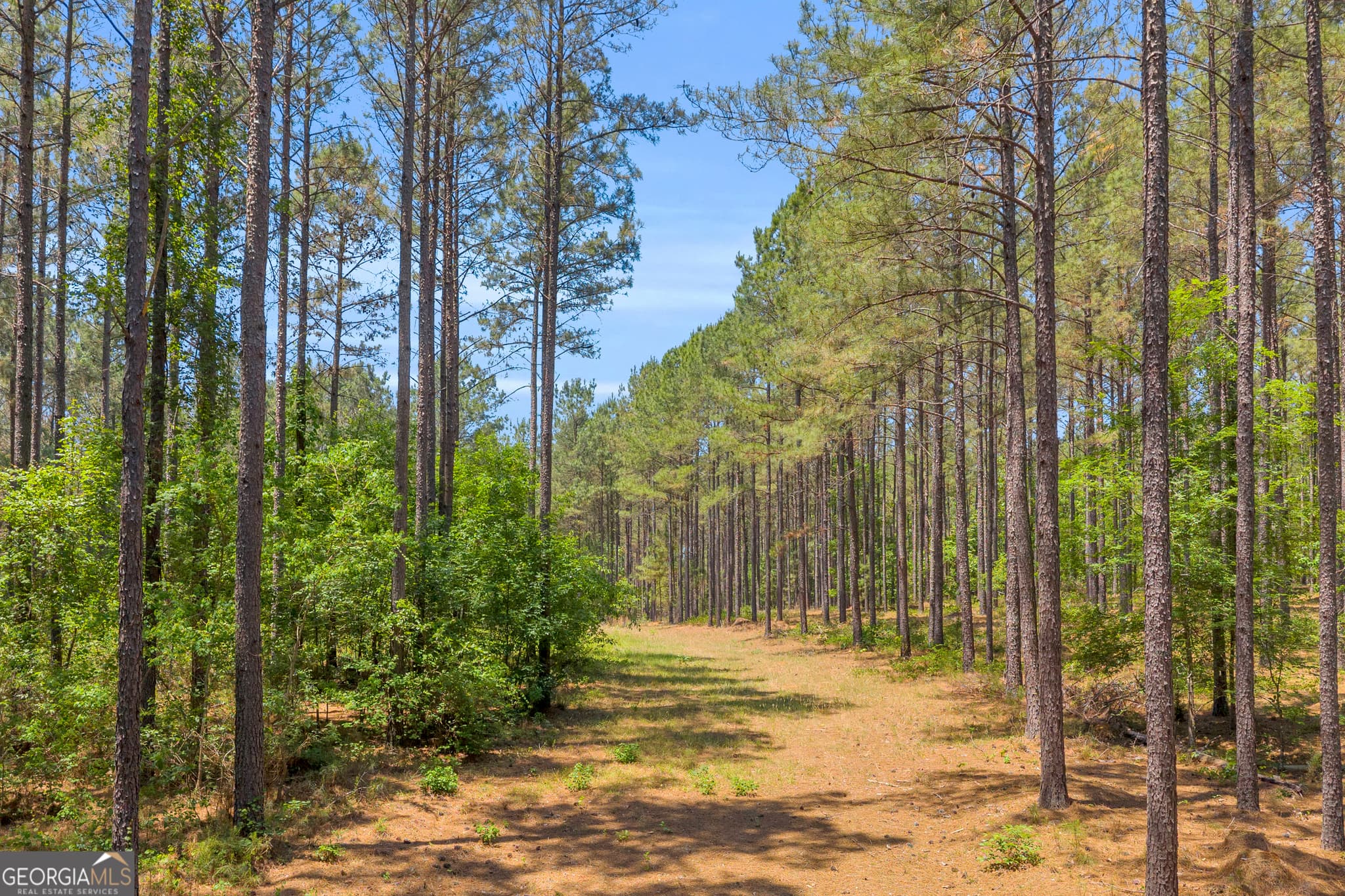 agriculture for sale at 0 Hidden Harbor Road, Lincolnton, GA 30817 — photo 3