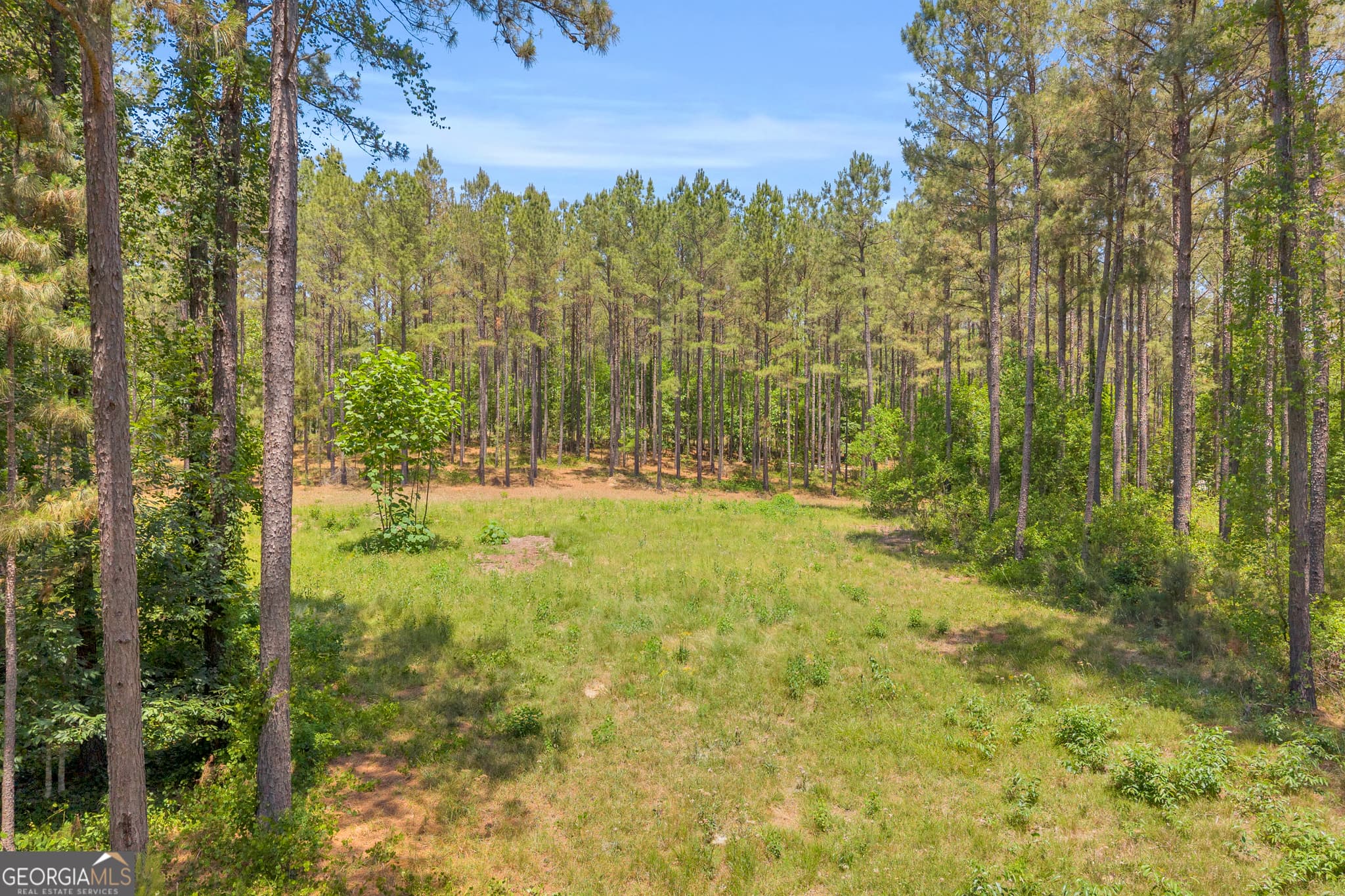 agriculture for sale at 0 Hidden Harbor Road, Lincolnton, GA 30817 — photo 9