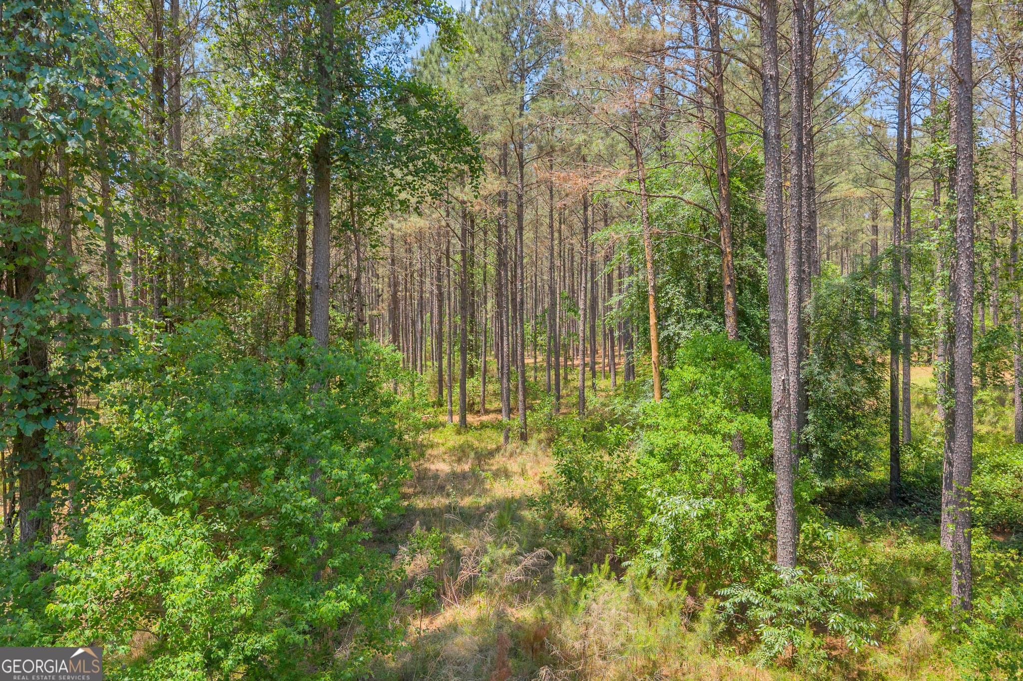 agriculture for sale at 0 Hidden Harbor Road, Lincolnton, GA 30817 — photo 10