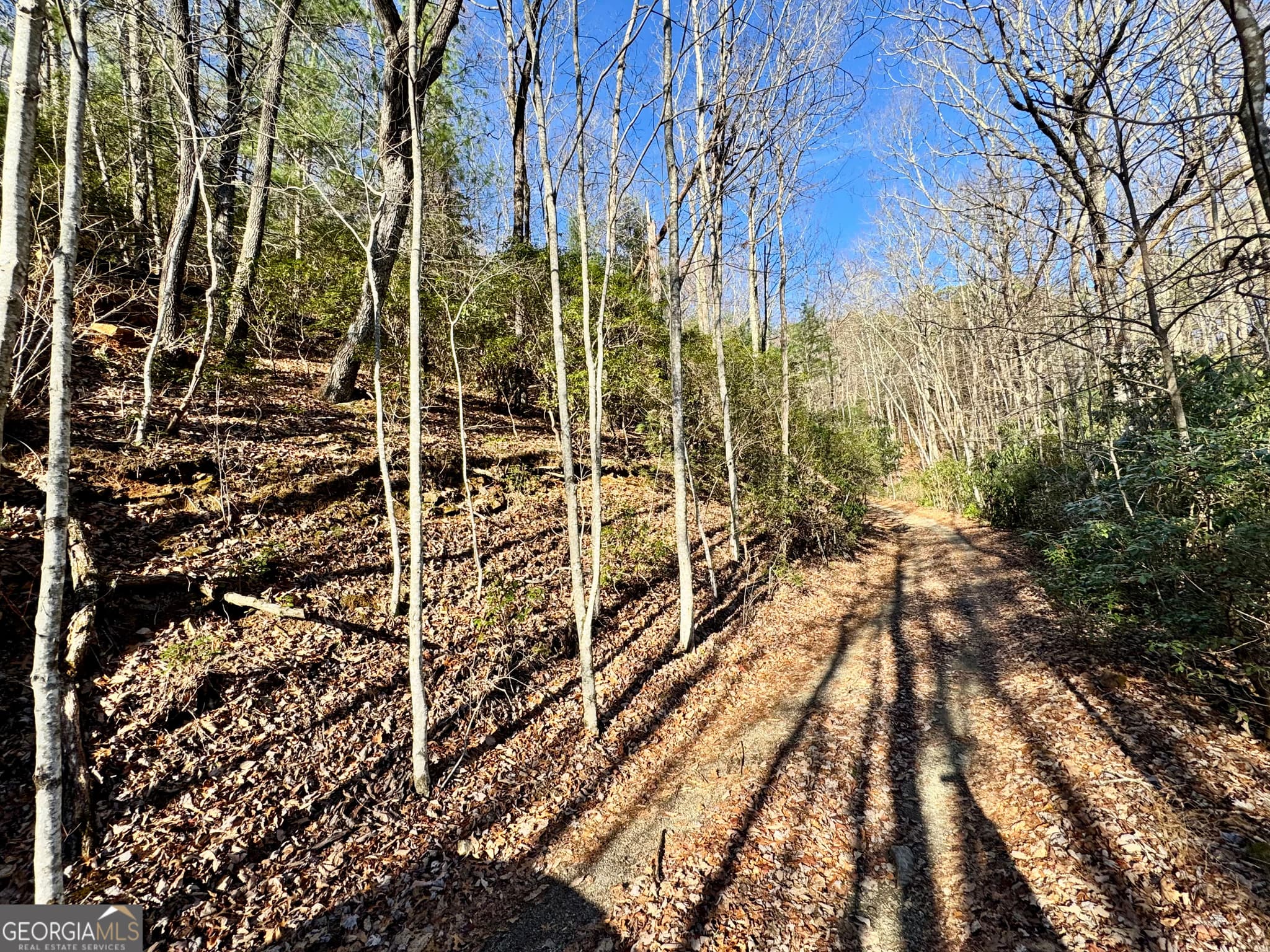 residential lot for sale at 0 Mule Branch Road, Helen, GA 30545 — photo 2