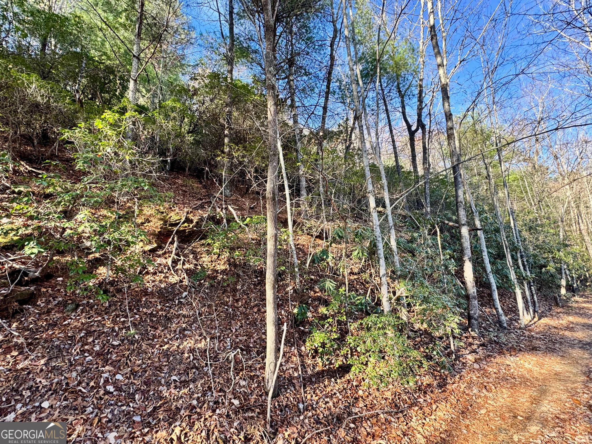 residential lot for sale at 0 Mule Branch Road, Helen, GA 30545 — photo 6
