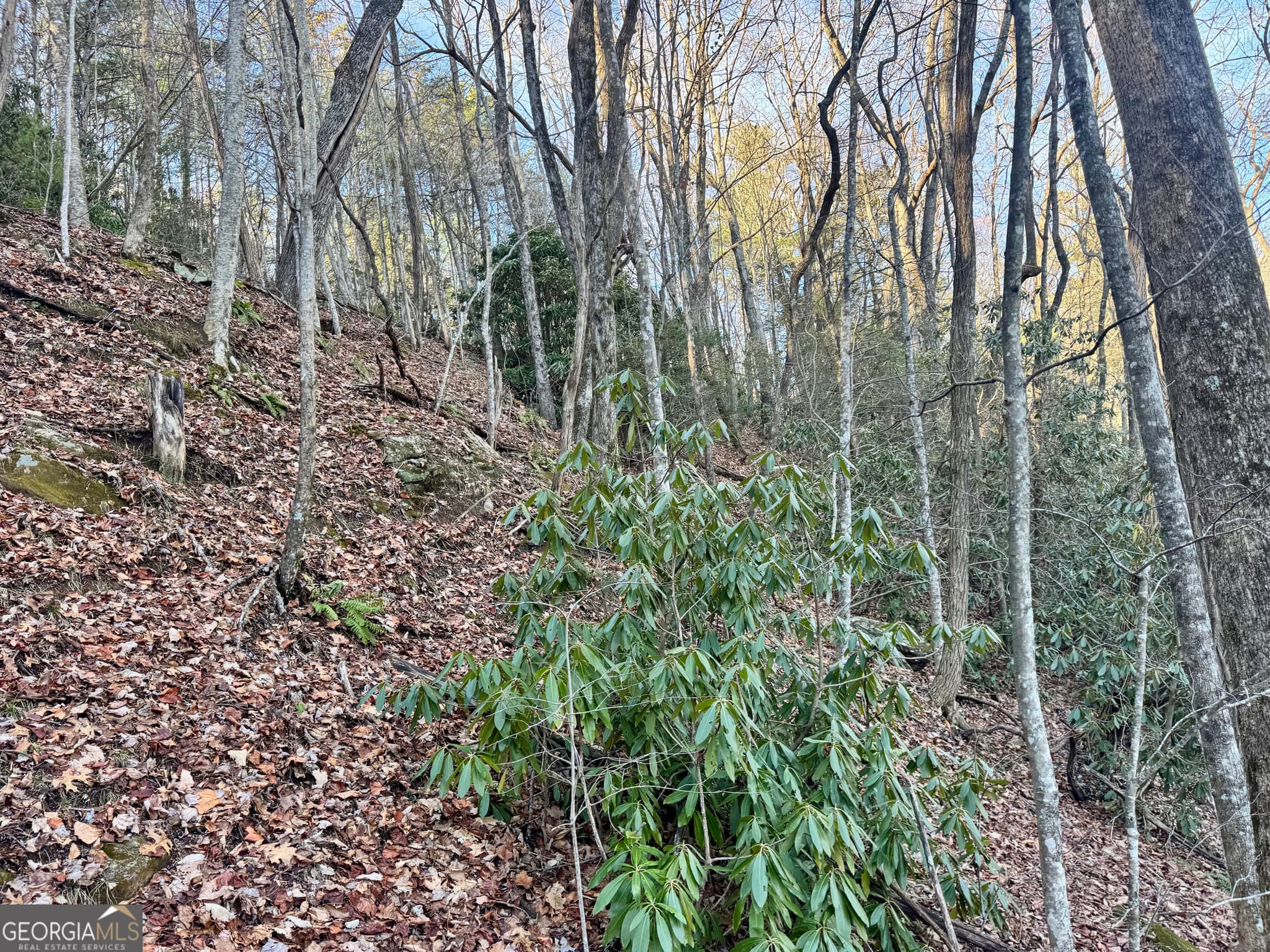 residential lot for sale at 0 Mule Branch Road, Helen, GA 30545 — photo 7