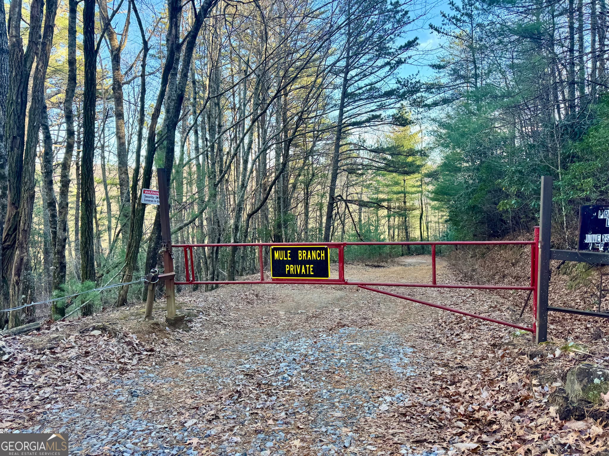 residential lot for sale at 0 Mule Branch Road, Helen, GA 30545 — photo 3