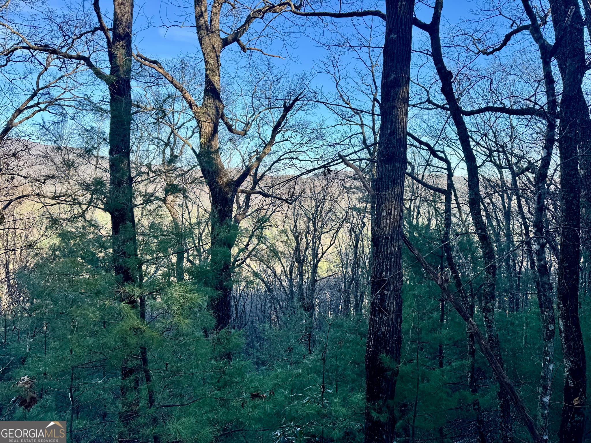 residential lot for sale at 0 Mule Branch Road, Helen, GA 30545 — photo 1 of 17