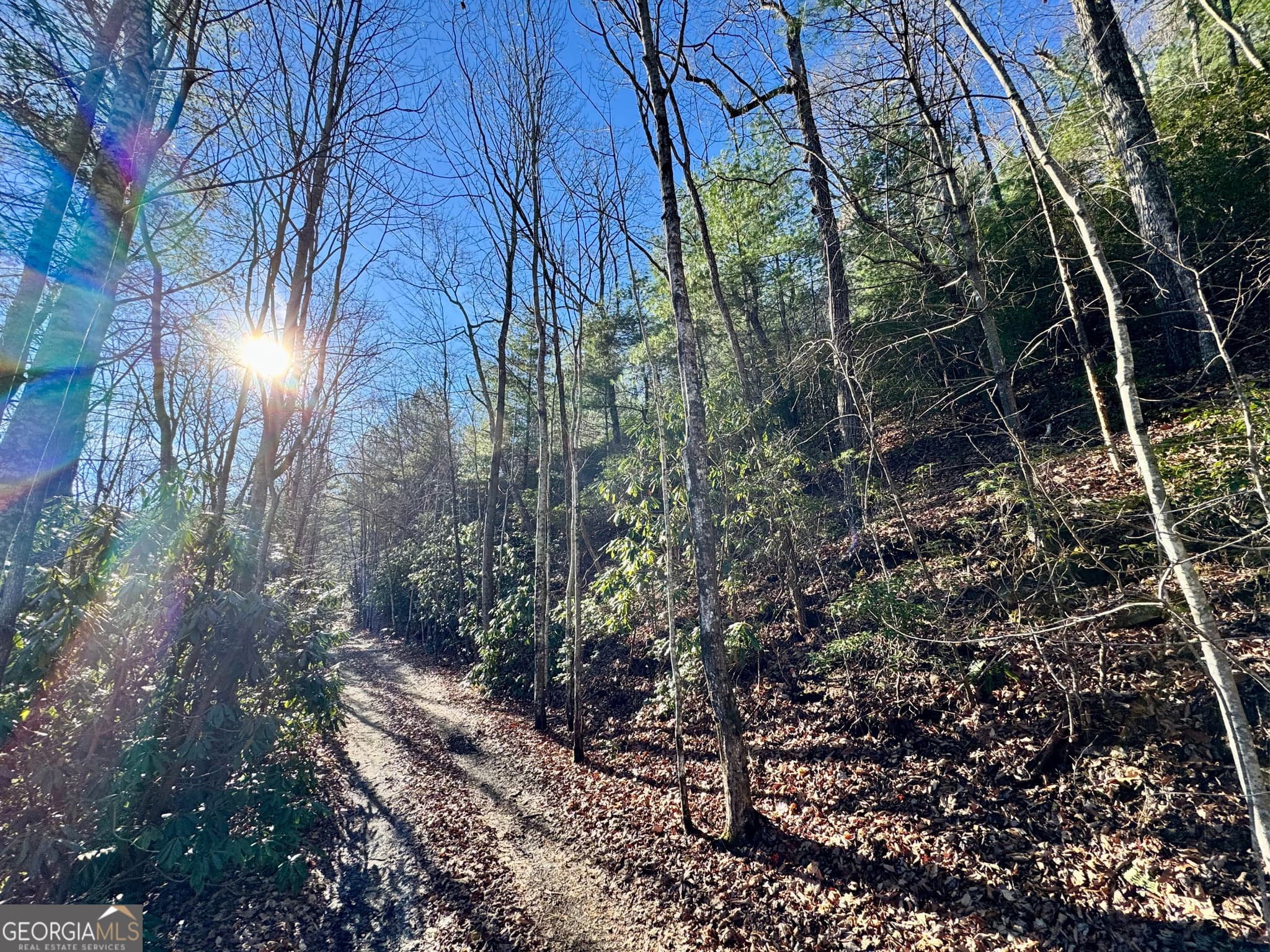 residential lot for sale at 0 Mule Branch Road, Helen, GA 30545 — photo 5