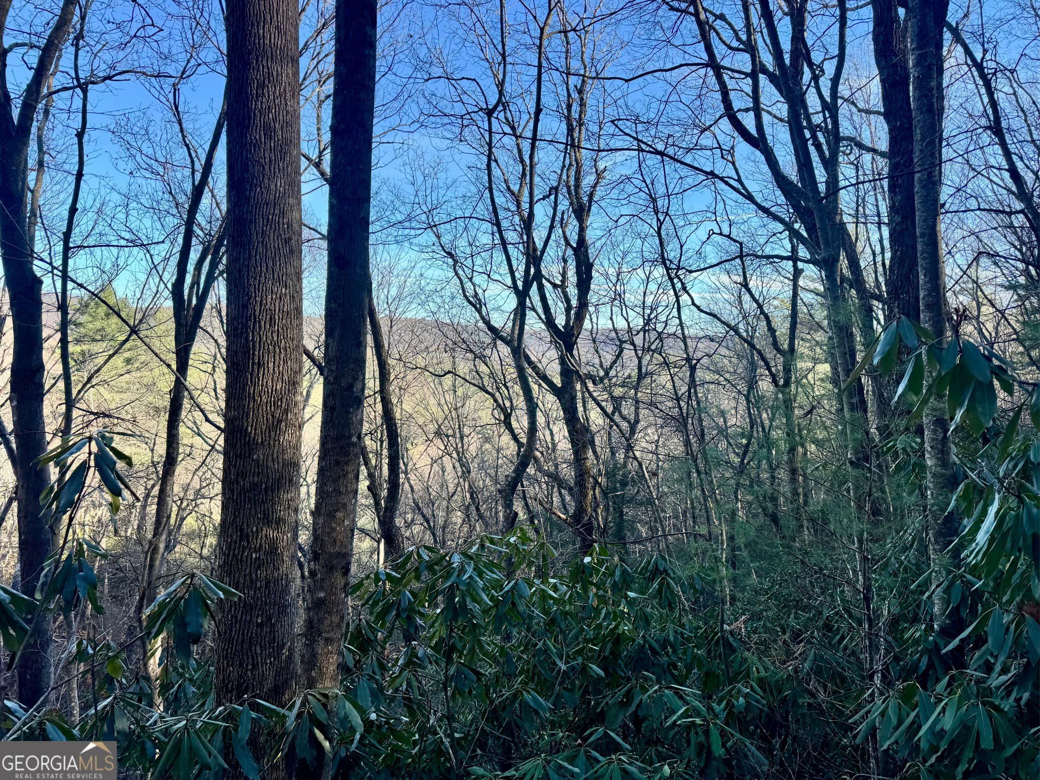 residential lot for sale at 0 Mule Branch Road, Helen, GA 30545 — photo 9