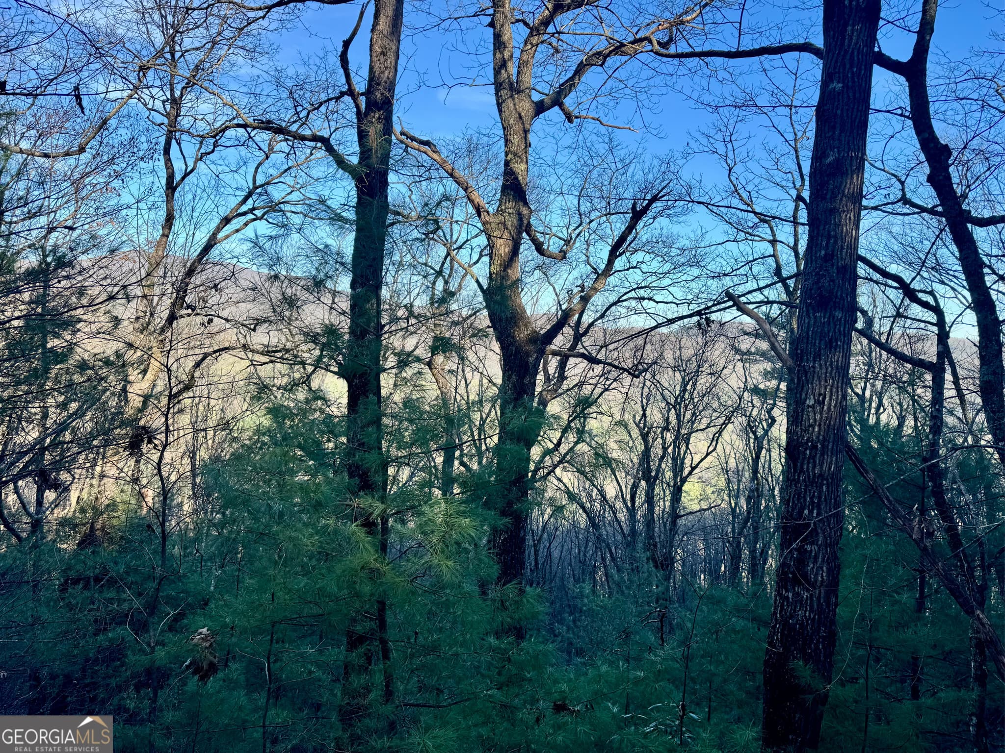 residential lot for sale at 0 Mule Branch Road, Helen, GA 30545 — photo 8