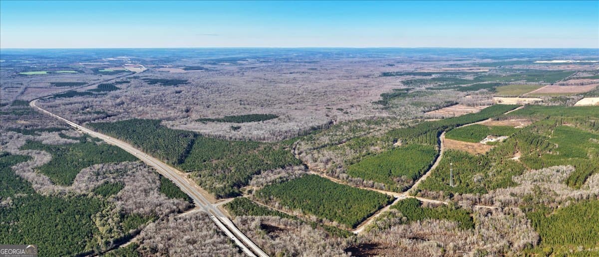 unimproved land for sale at 296 Boxwood Road, Fort Valley, GA 31030 — photo 2