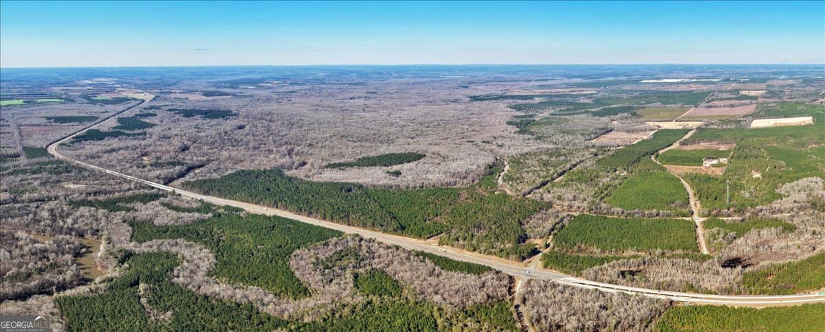 unimproved land for sale at 296 Boxwood Road, Fort Valley, GA 31030 — photo 6