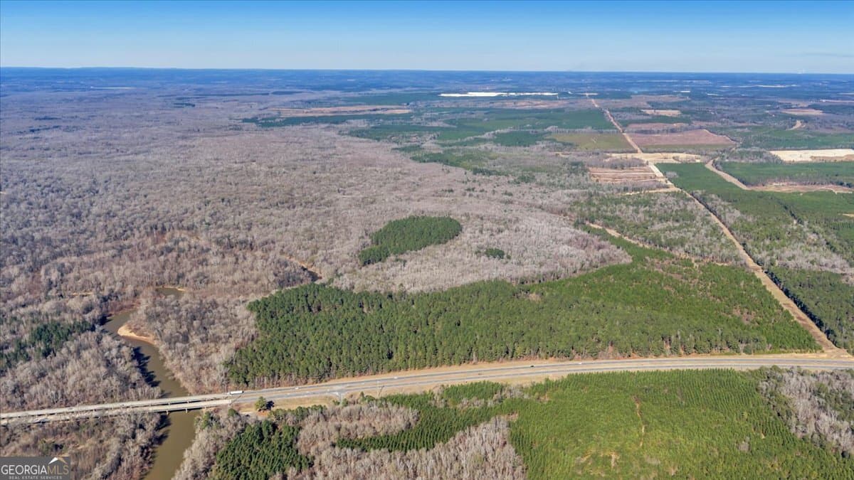 unimproved land for sale at 296 Boxwood Road, Fort Valley, GA 31030 — photo 7