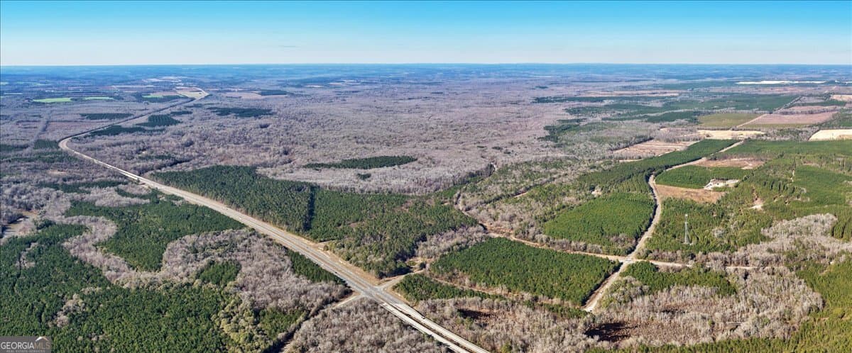 unimproved land for sale at 296 Boxwood Road, Fort Valley, GA 31030 — photo 3