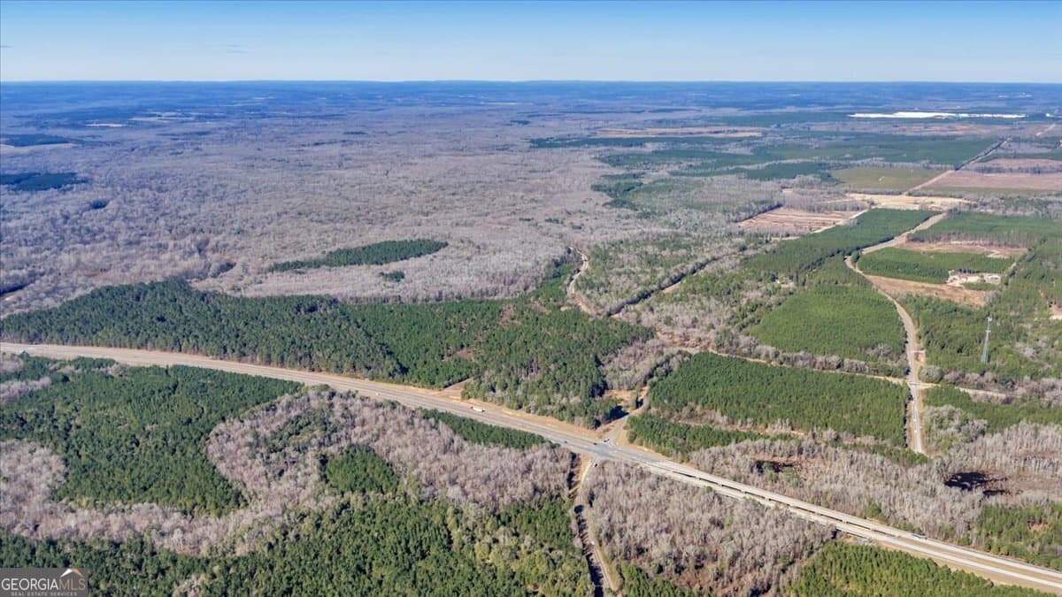 unimproved land for sale at 296 Boxwood Road, Fort Valley, GA 31030 — photo 5
