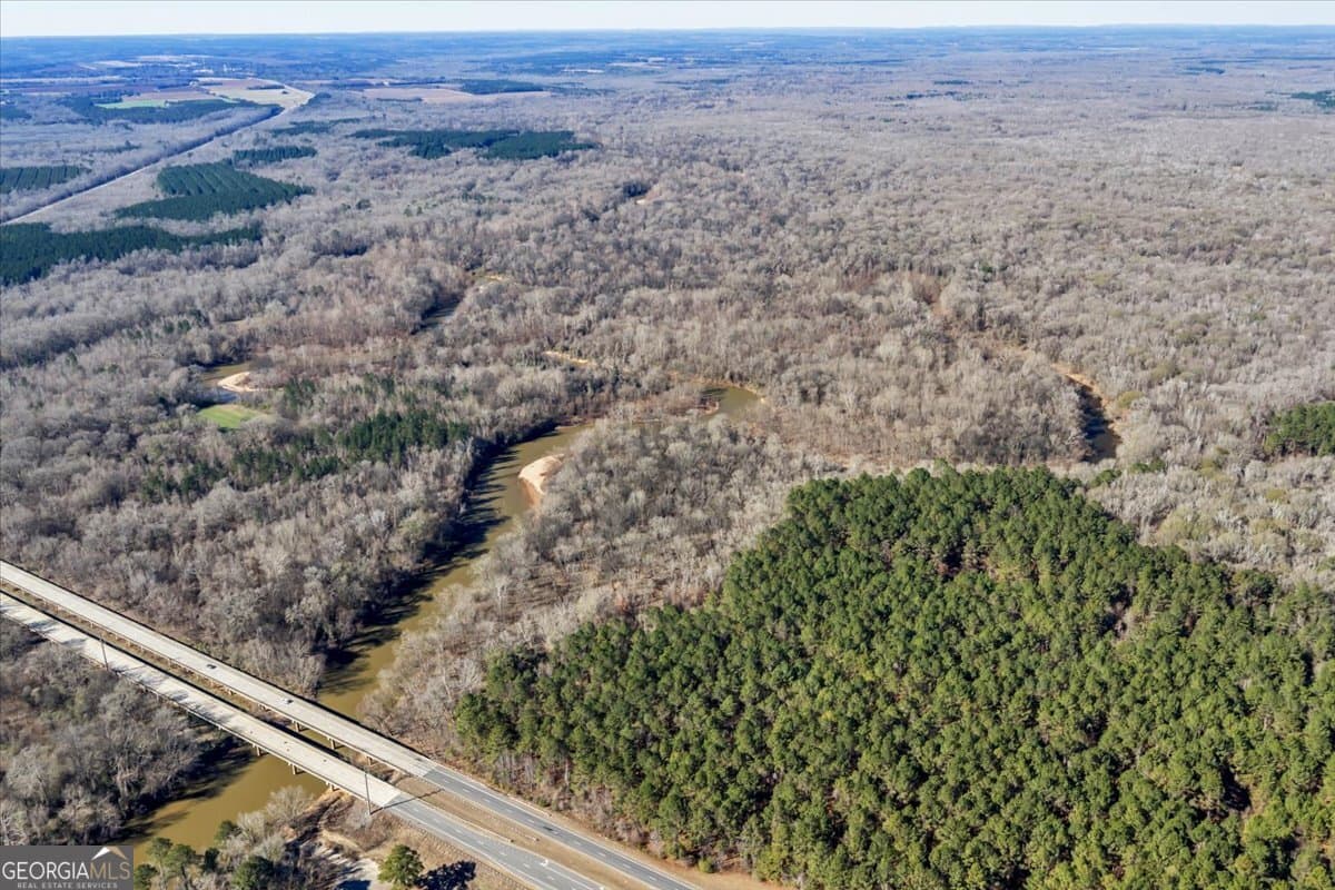 unimproved land for sale at 296 Boxwood Road, Fort Valley, GA 31030 — photo 9