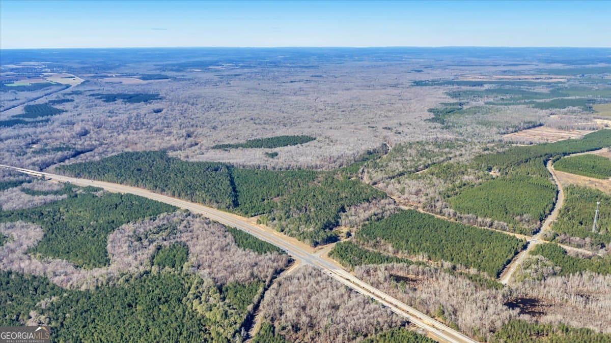 unimproved land for sale at 296 Boxwood Road, Fort Valley, GA 31030 — photo 4