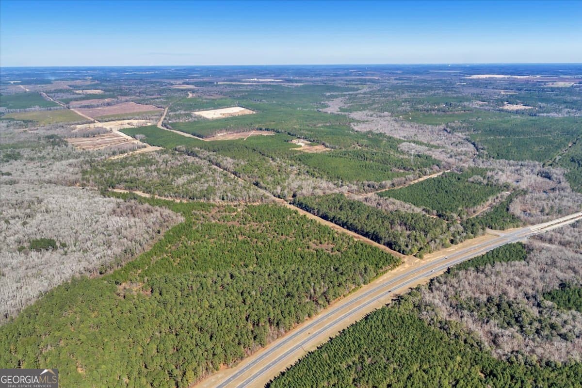 unimproved land for sale at 296 Boxwood Road, Fort Valley, GA 31030 — photo 8