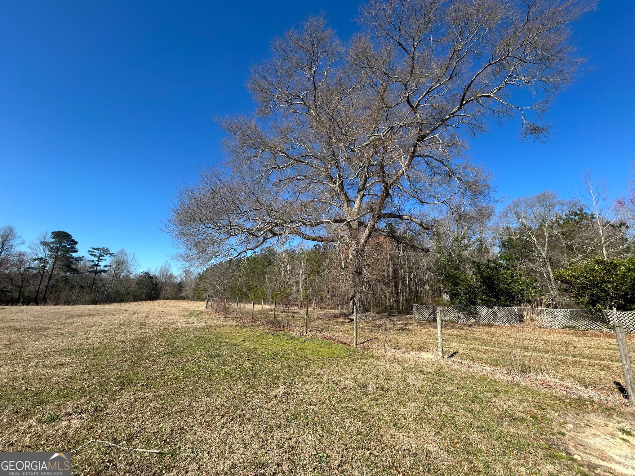 3 bedroom, 2 bathroom, 1,980 sq ft cabin,farm for sale at 150 Charles Painter Road, Villa Rica, GA 30180 — photo 8