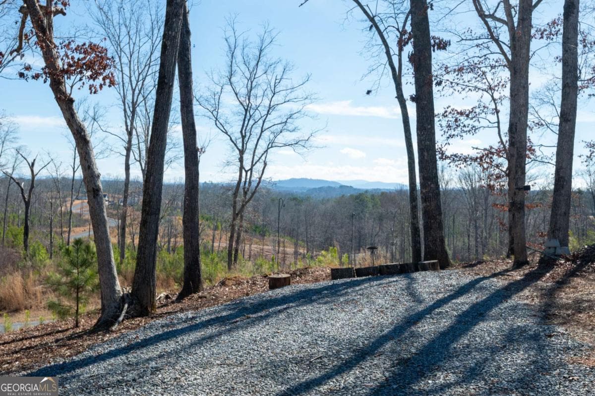 4 bedroom, 3 bathroom, 3,310 sq ft single family residence for sale at 218 Oak Wood Lane, Ellijay, GA 30540 — photo 4