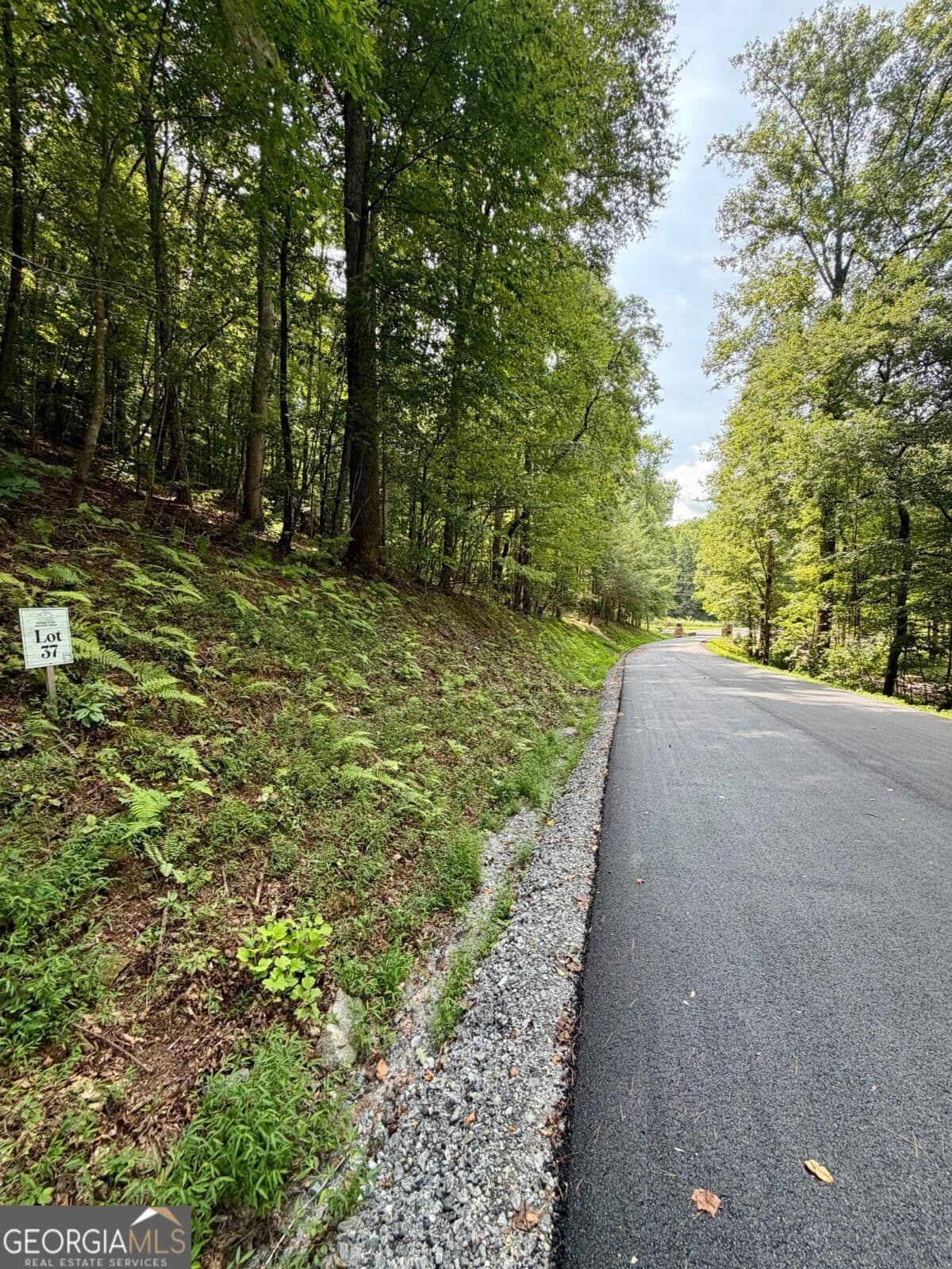 residential lot for sale at LOT 37 Blue Horizon Drive, Blue Ridge, GA 30513 — photo 2