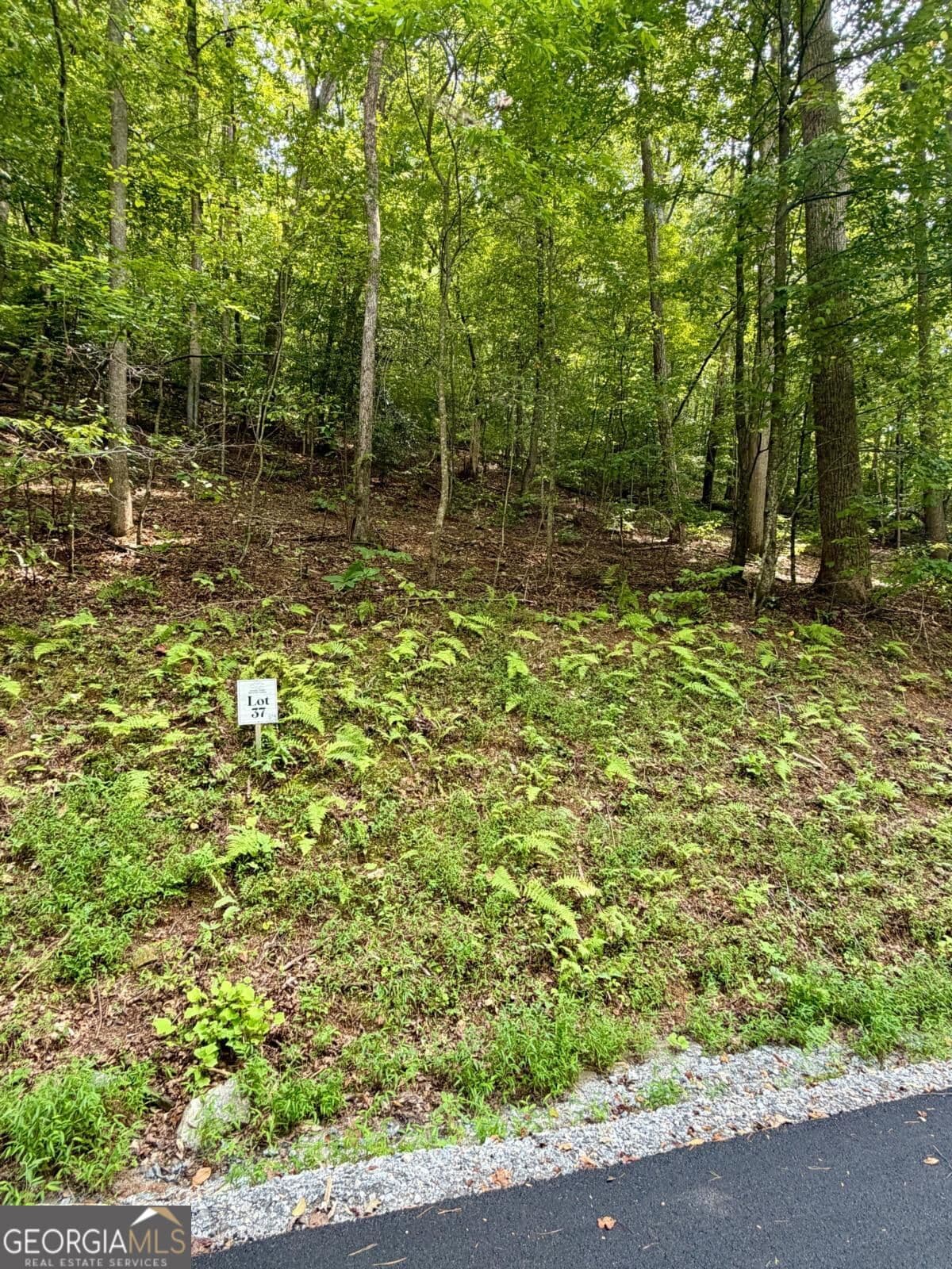 residential lot for sale at LOT 37 Blue Horizon Drive, Blue Ridge, GA 30513 — photo 3