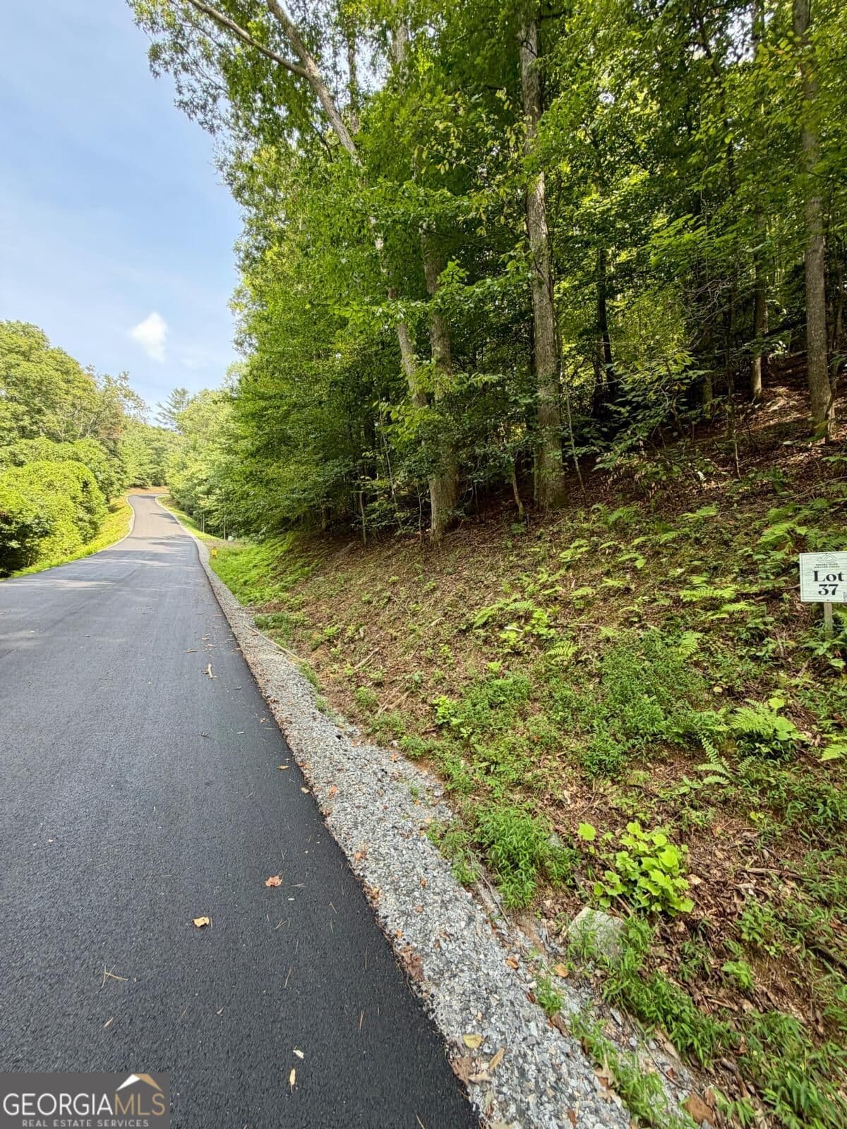 residential lot for sale at LOT 37 Blue Horizon Drive, Blue Ridge, GA 30513 — photo 1 of 24