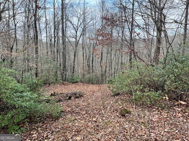 residential lot for sale at 0 Gove, Sautee Nacoochee, GA 30571 — photo 2
