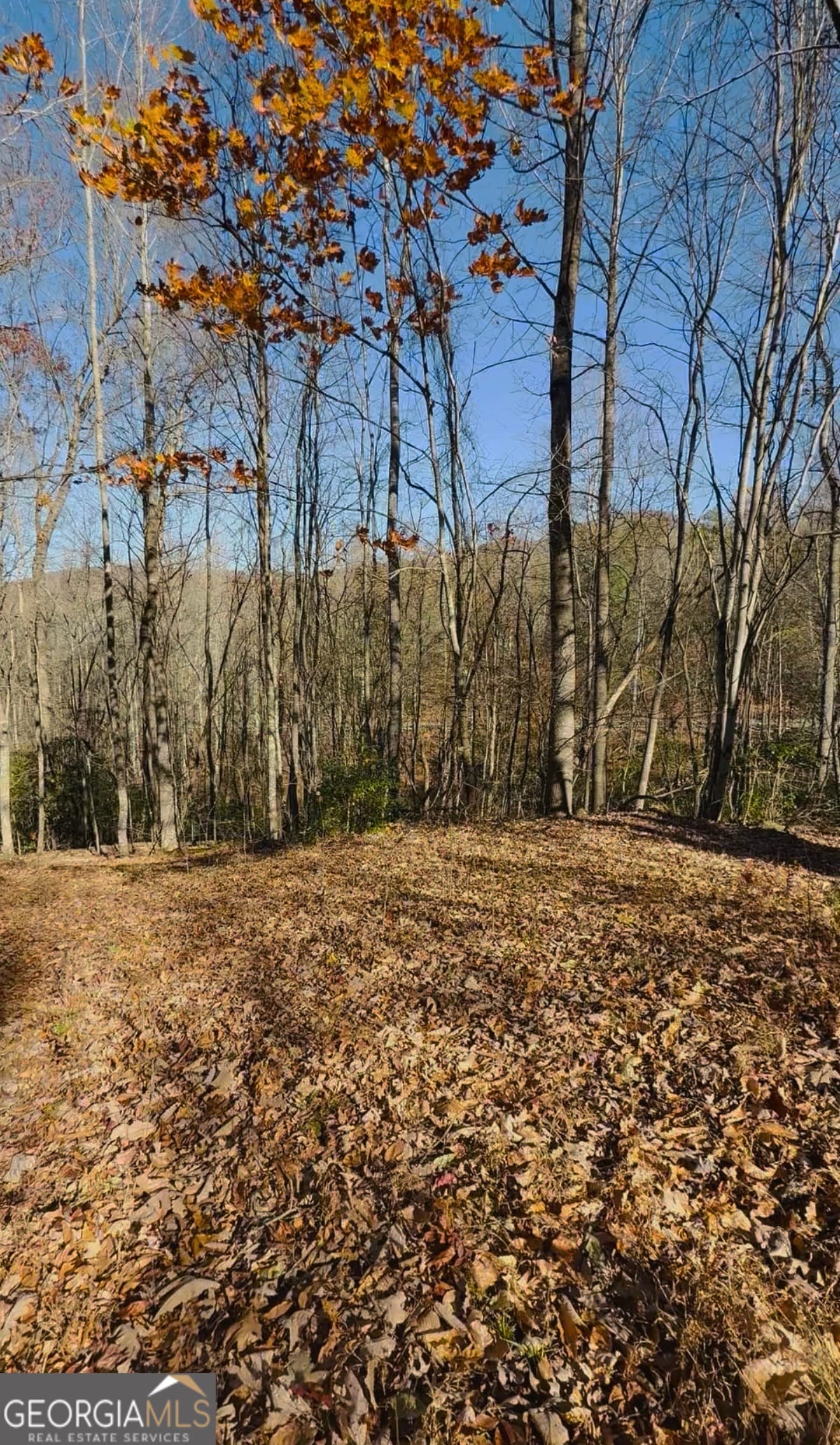 residential lot for sale at 0 Gove, Sautee Nacoochee, GA 30571 — photo 6