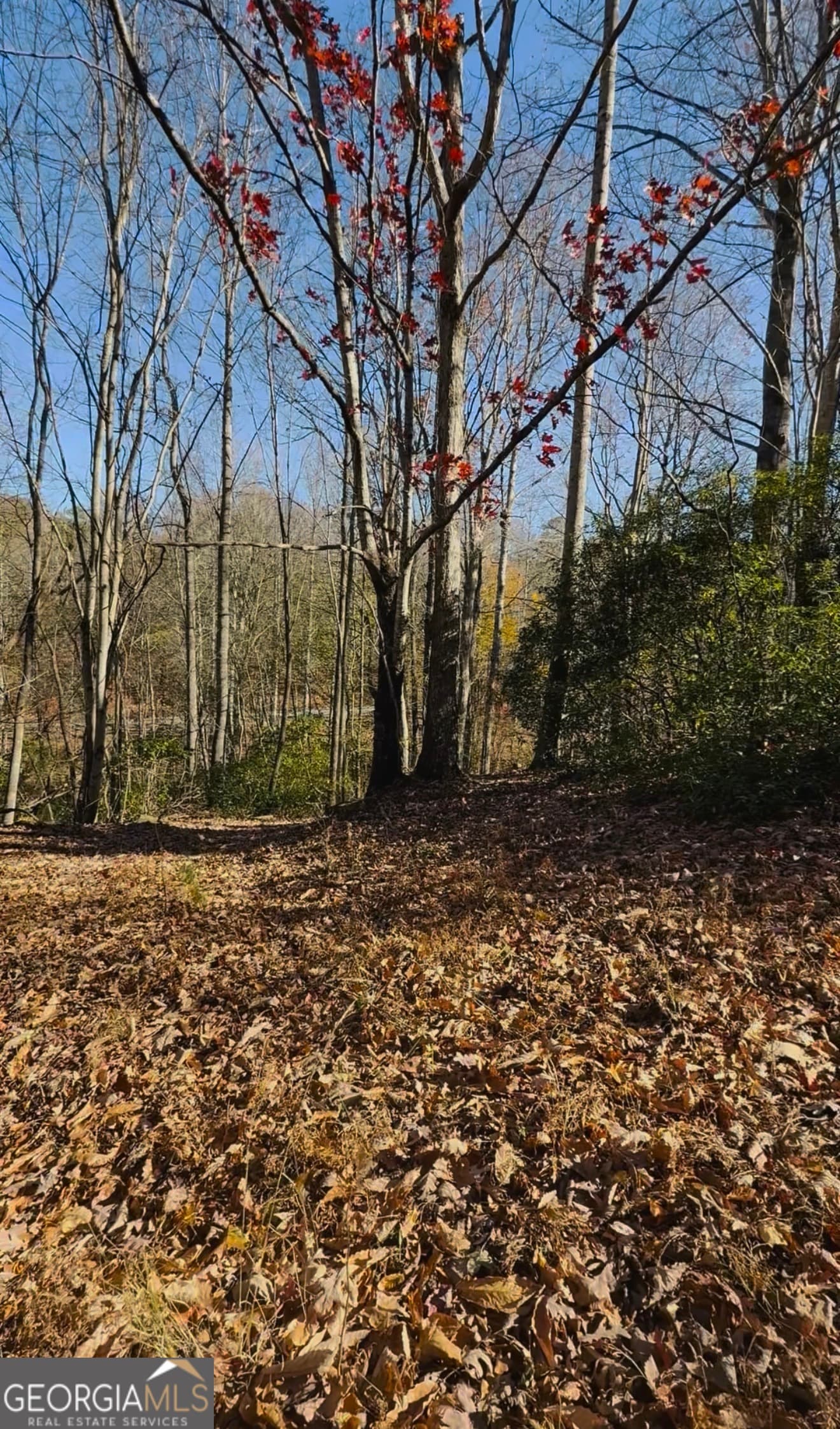 residential lot for sale at 0 Gove, Sautee Nacoochee, GA 30571 — photo 7