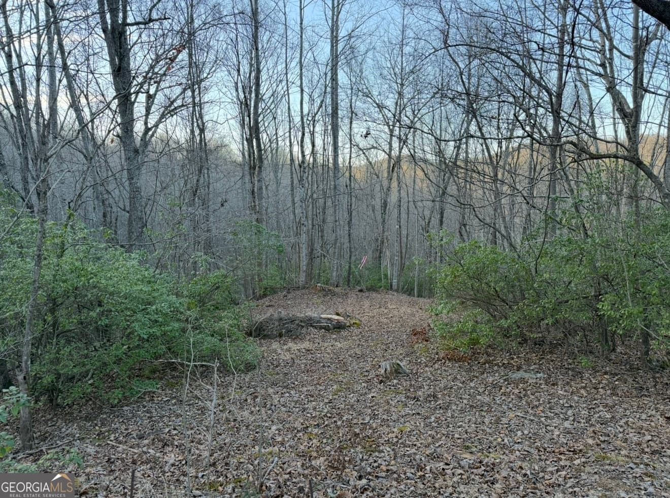 residential lot for sale at 0 Gove, Sautee Nacoochee, GA 30571 — photo 3