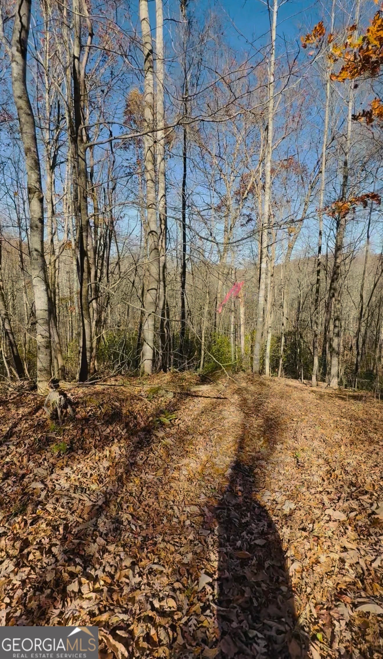 residential lot for sale at 0 Gove, Sautee Nacoochee, GA 30571 — photo 1 of 10