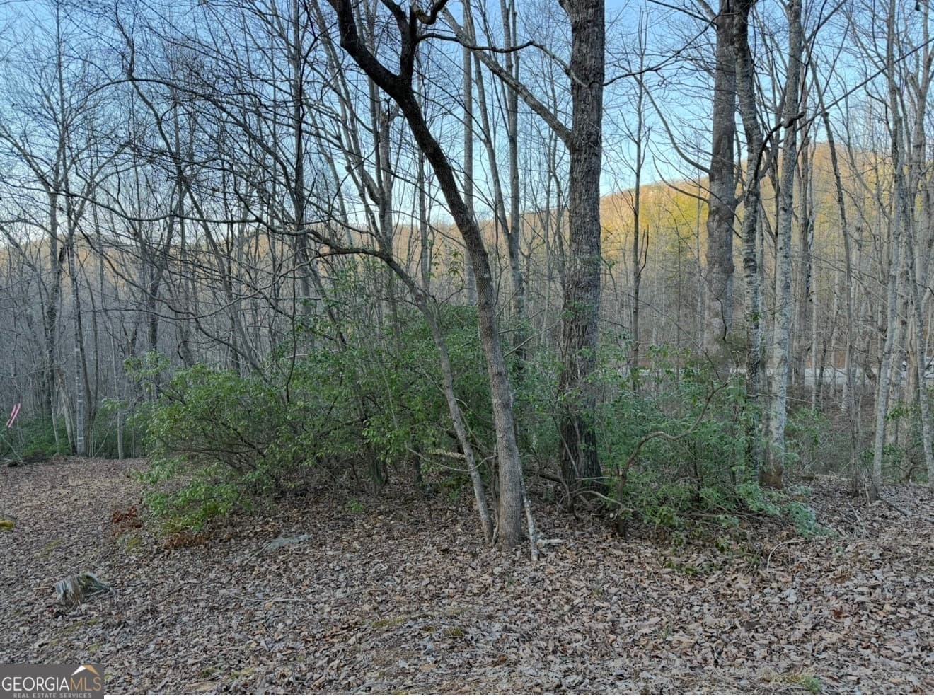 residential lot for sale at 0 Gove, Sautee Nacoochee, GA 30571 — photo 5