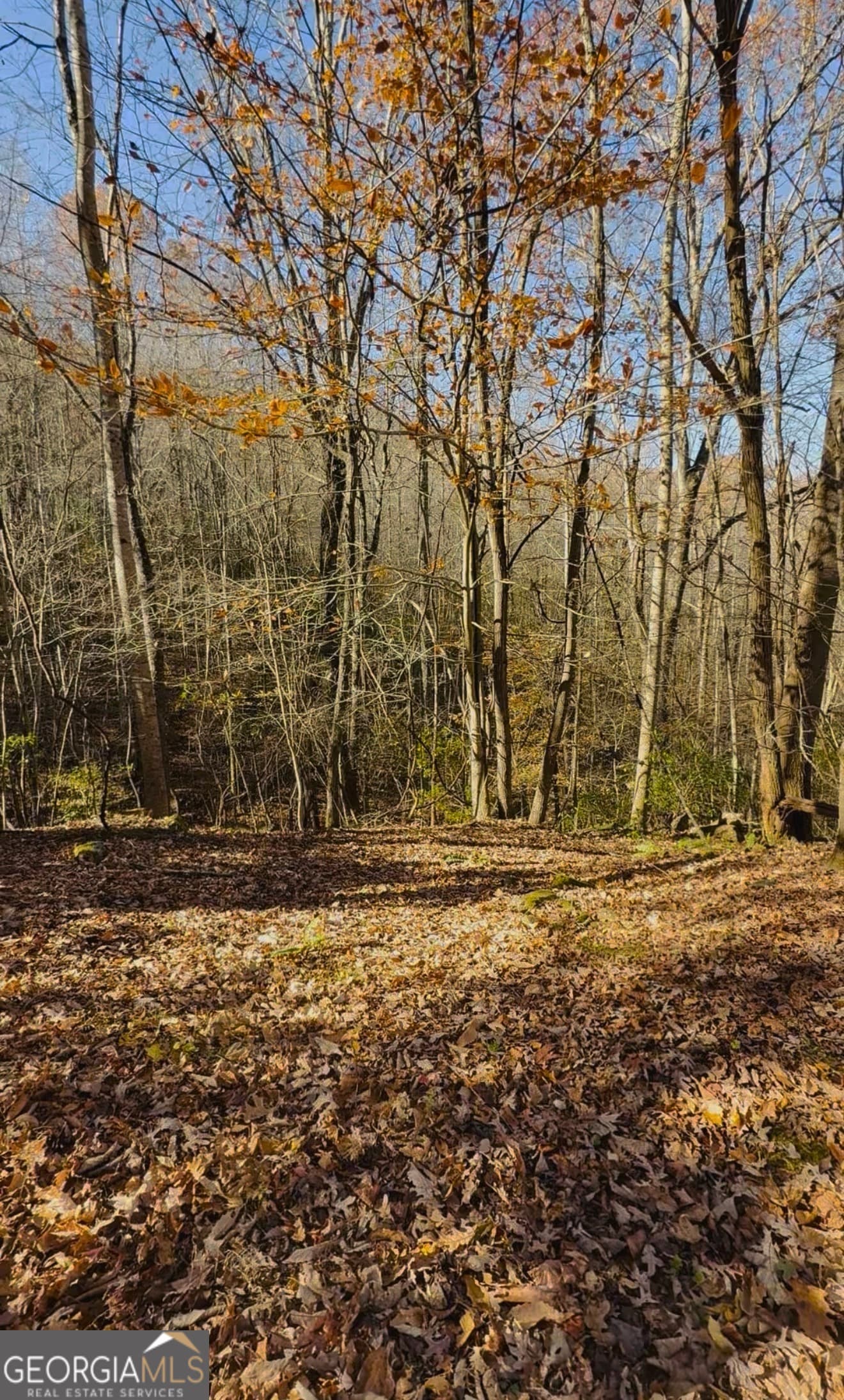 residential lot for sale at 0 Gove, Sautee Nacoochee, GA 30571 — photo 9