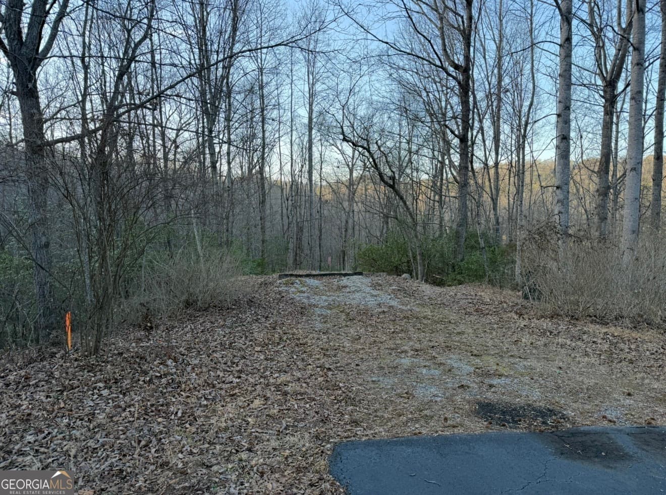 residential lot for sale at 0 Gove, Sautee Nacoochee, GA 30571 — photo 4
