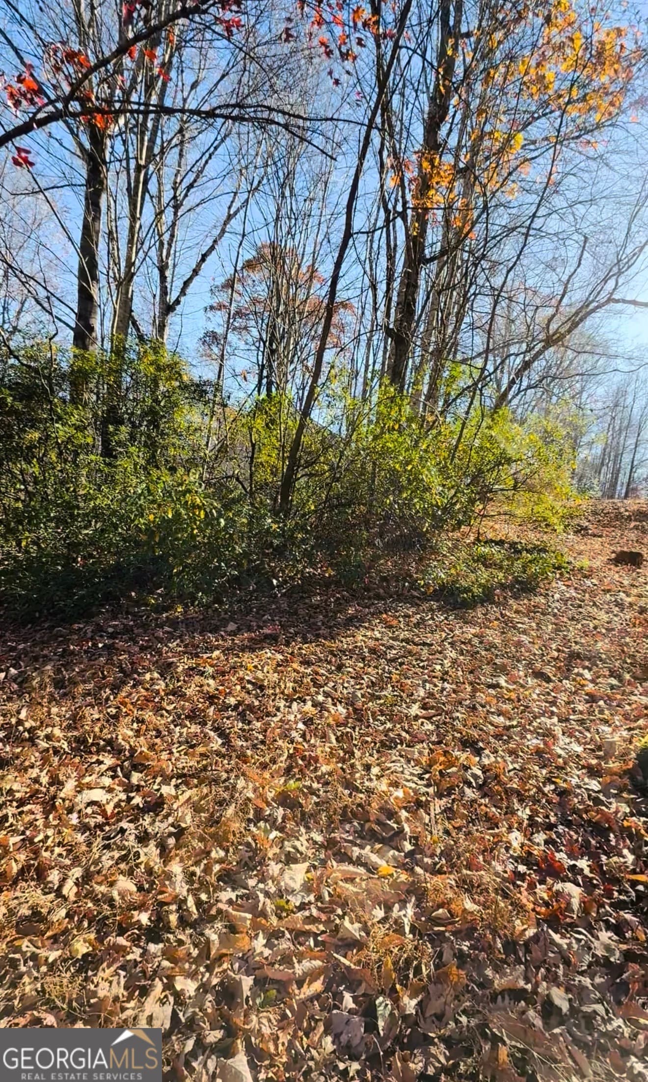 residential lot for sale at 0 Gove, Sautee Nacoochee, GA 30571 — photo 8