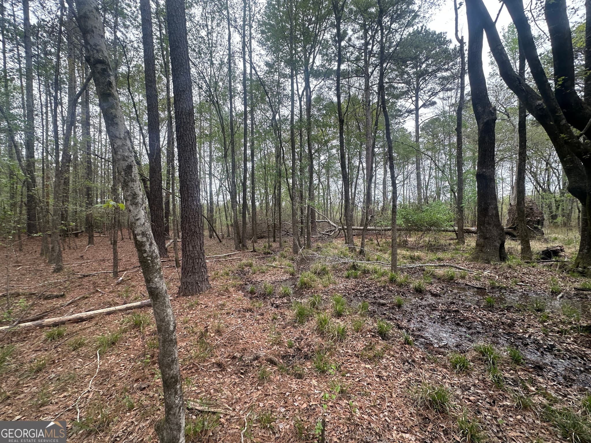 agriculture for sale at 0 Fred Chance Road, Perkins, GA 30442 — photo 2