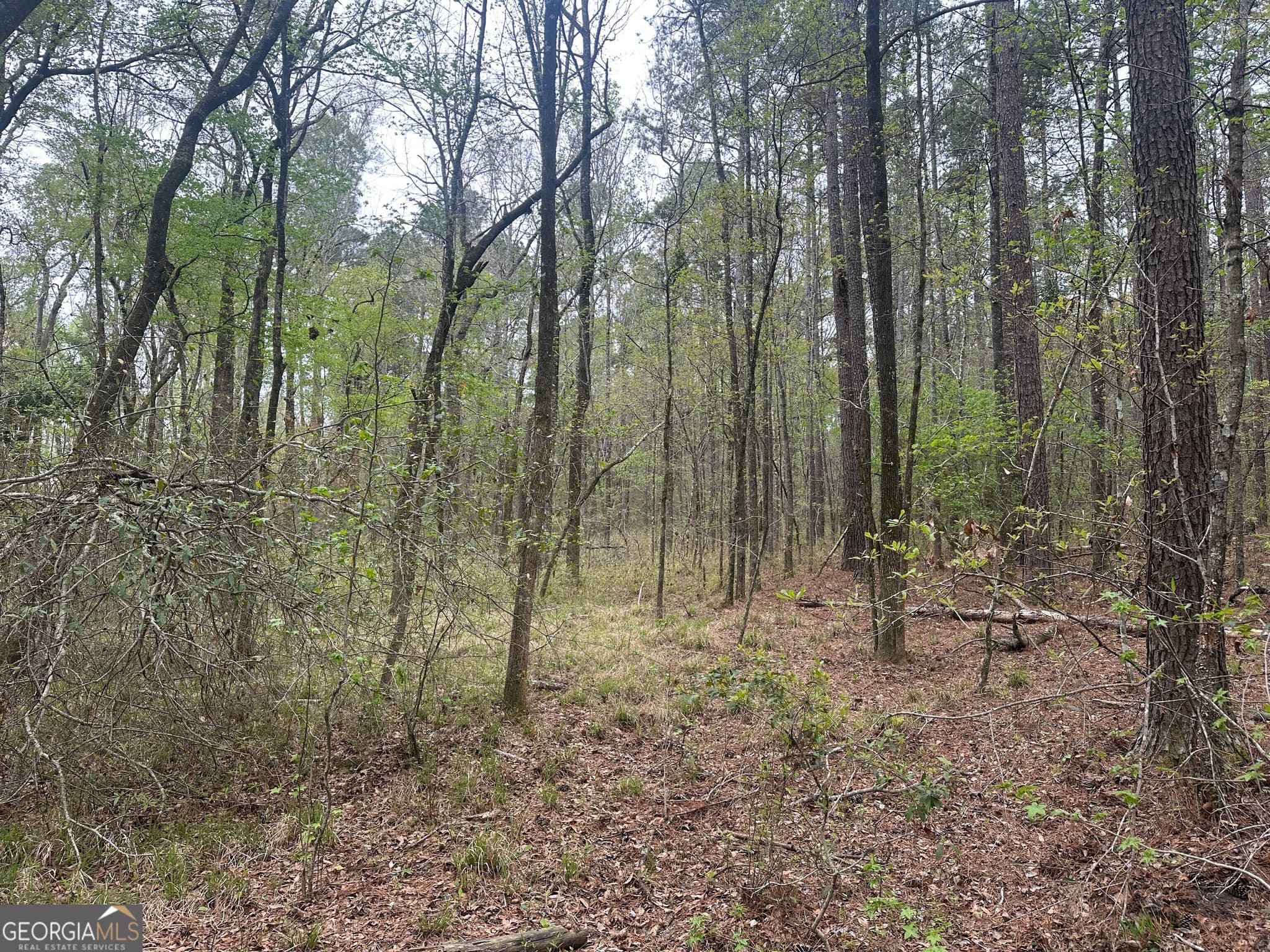 agriculture for sale at 0 Fred Chance Road, Perkins, GA 30442 — photo 6