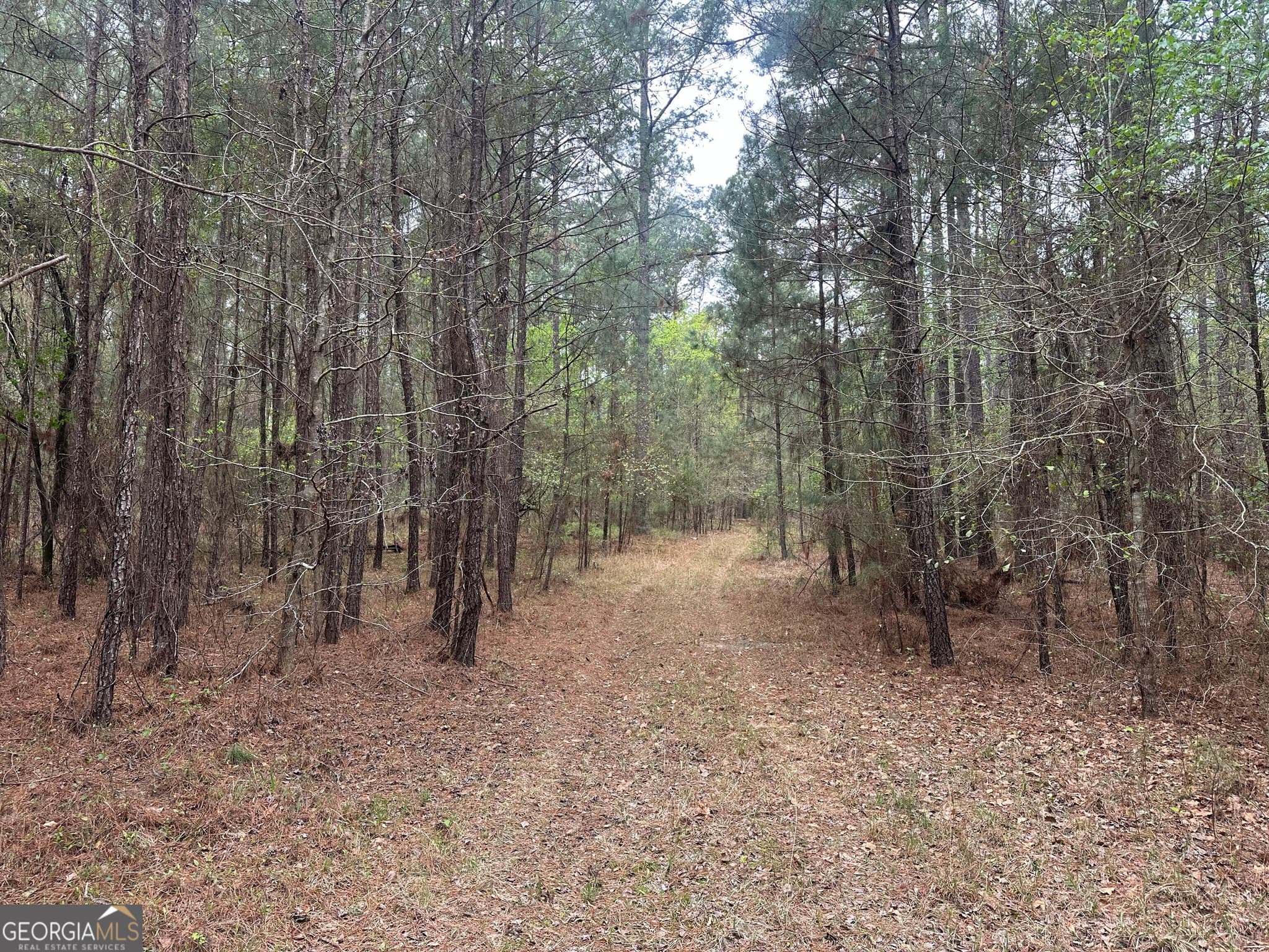 agriculture for sale at 0 Fred Chance Road, Perkins, GA 30442 — photo 7