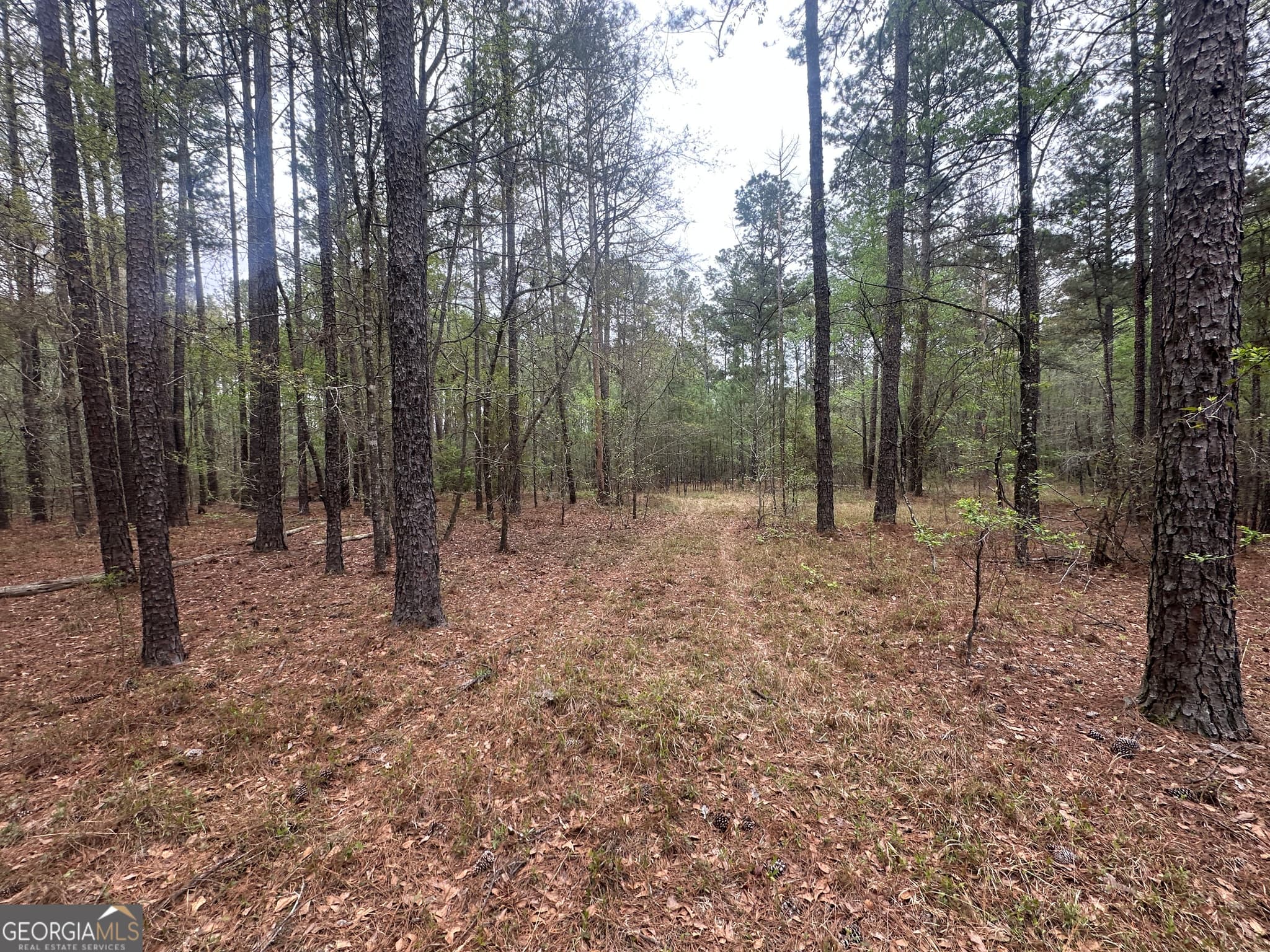 agriculture for sale at 0 Fred Chance Road, Perkins, GA 30442