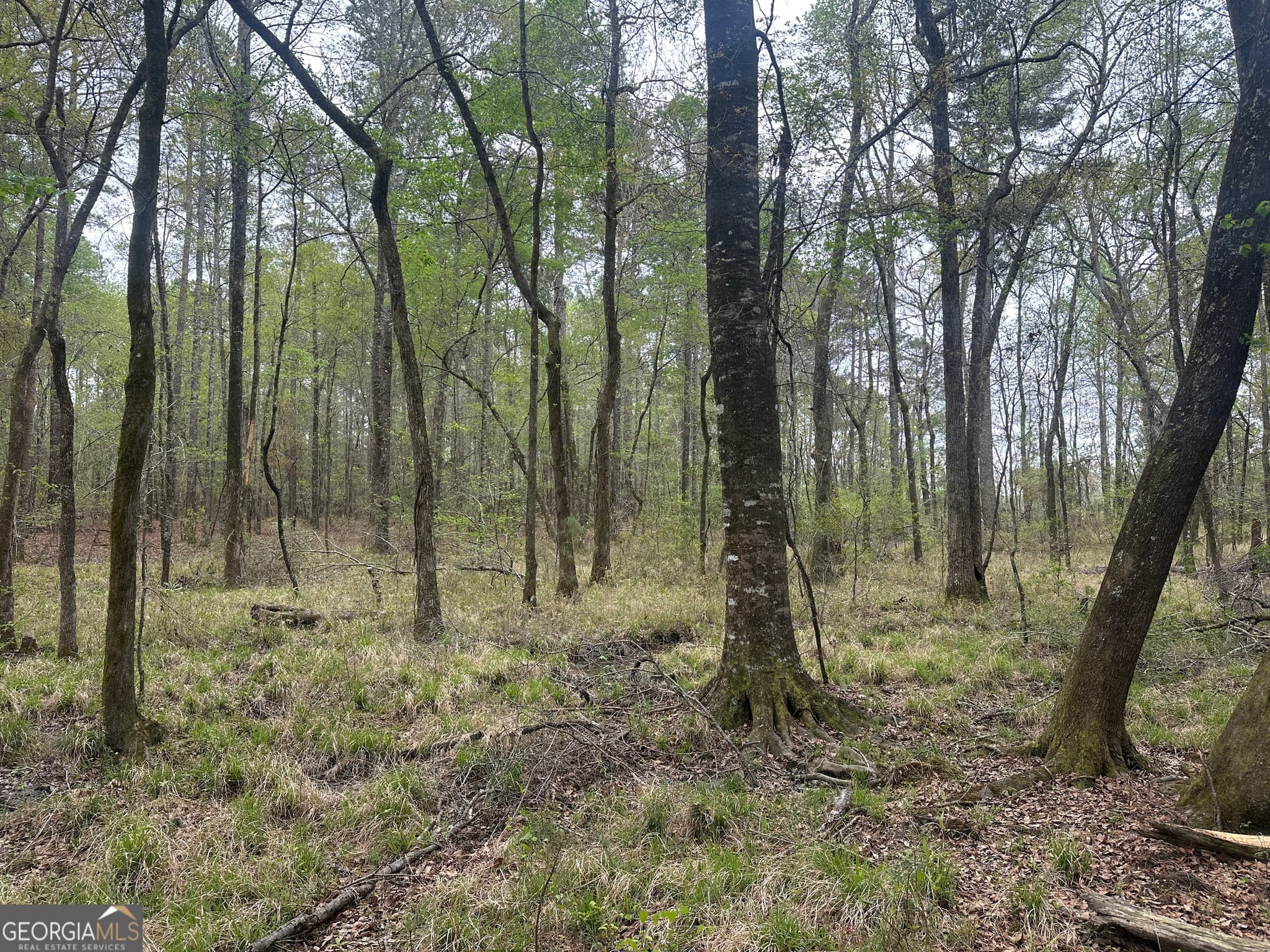 agriculture for sale at 0 Fred Chance Road, Perkins, GA 30442 — photo 5
