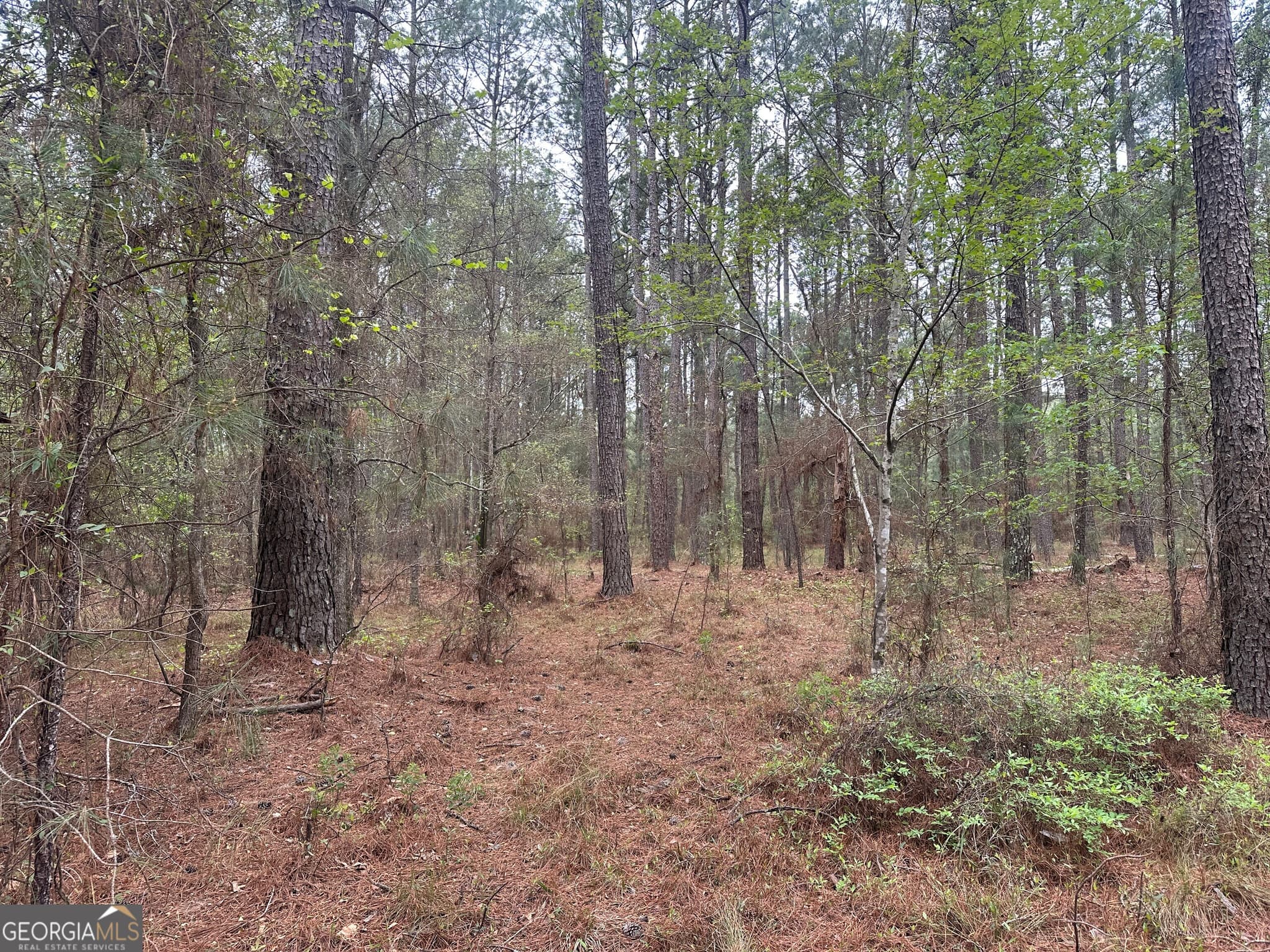 agriculture for sale at 0 Fred Chance Road, Perkins, GA 30442 — photo 9