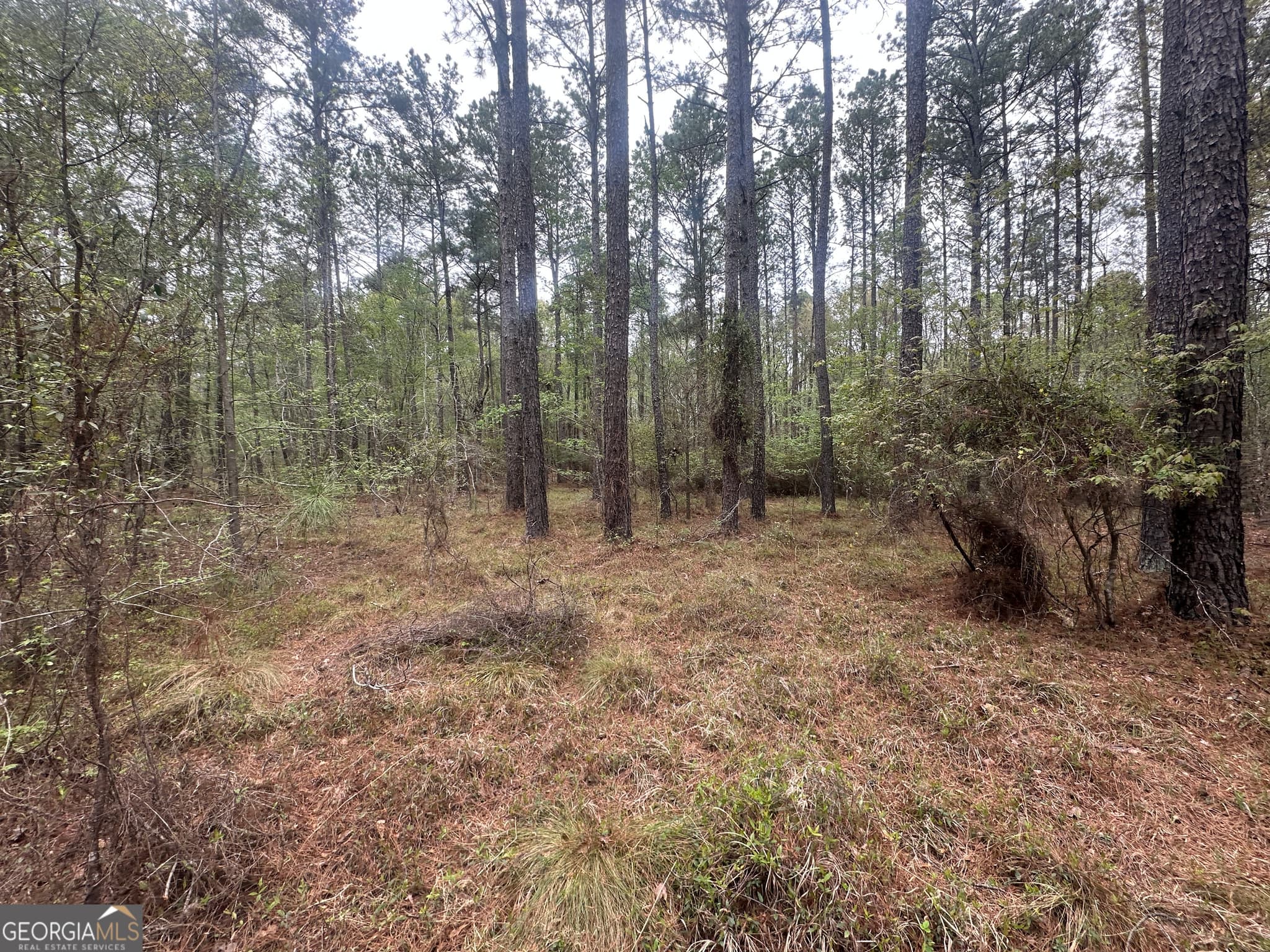 agriculture for sale at 0 Fred Chance Road, Perkins, GA 30442 — photo 10