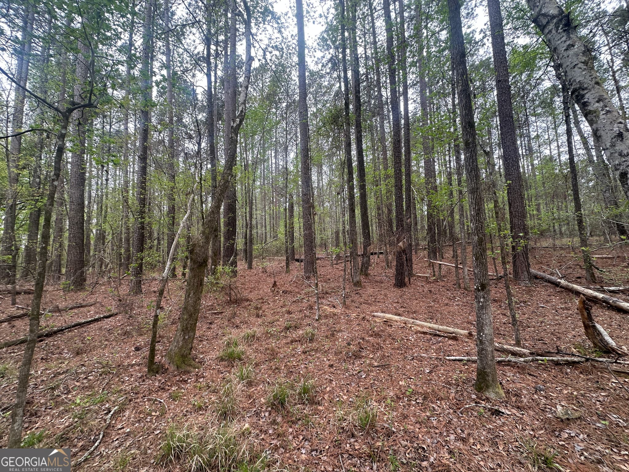 agriculture for sale at 0 Fred Chance Road, Perkins, GA 30442 — photo 4
