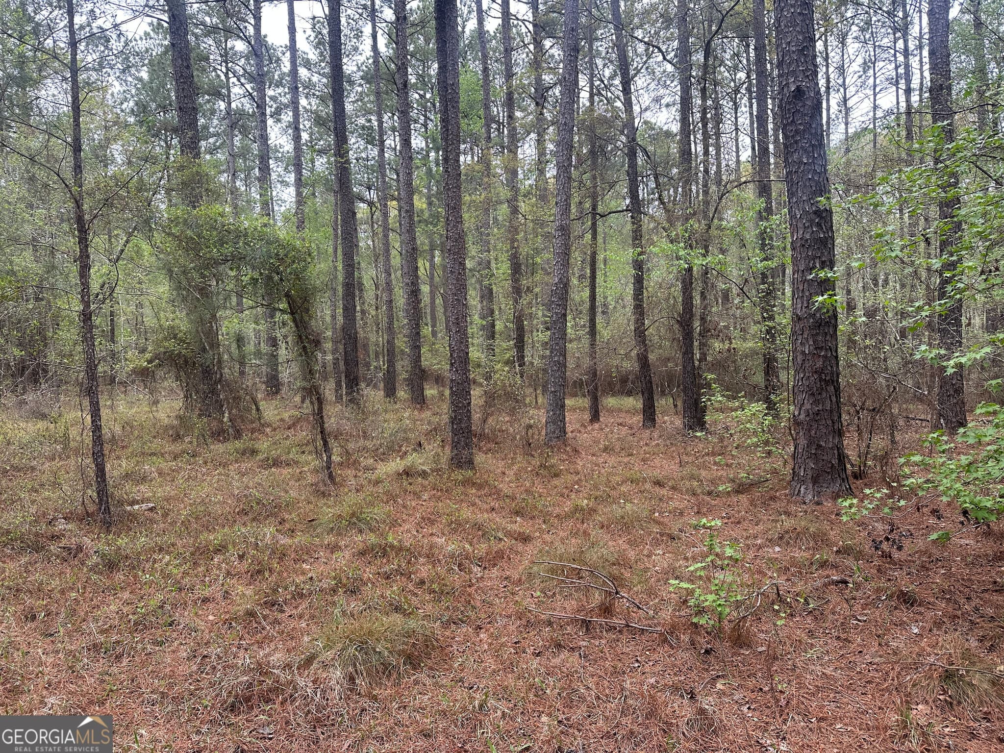 agriculture for sale at 0 Fred Chance Road, Perkins, GA 30442 — photo 8