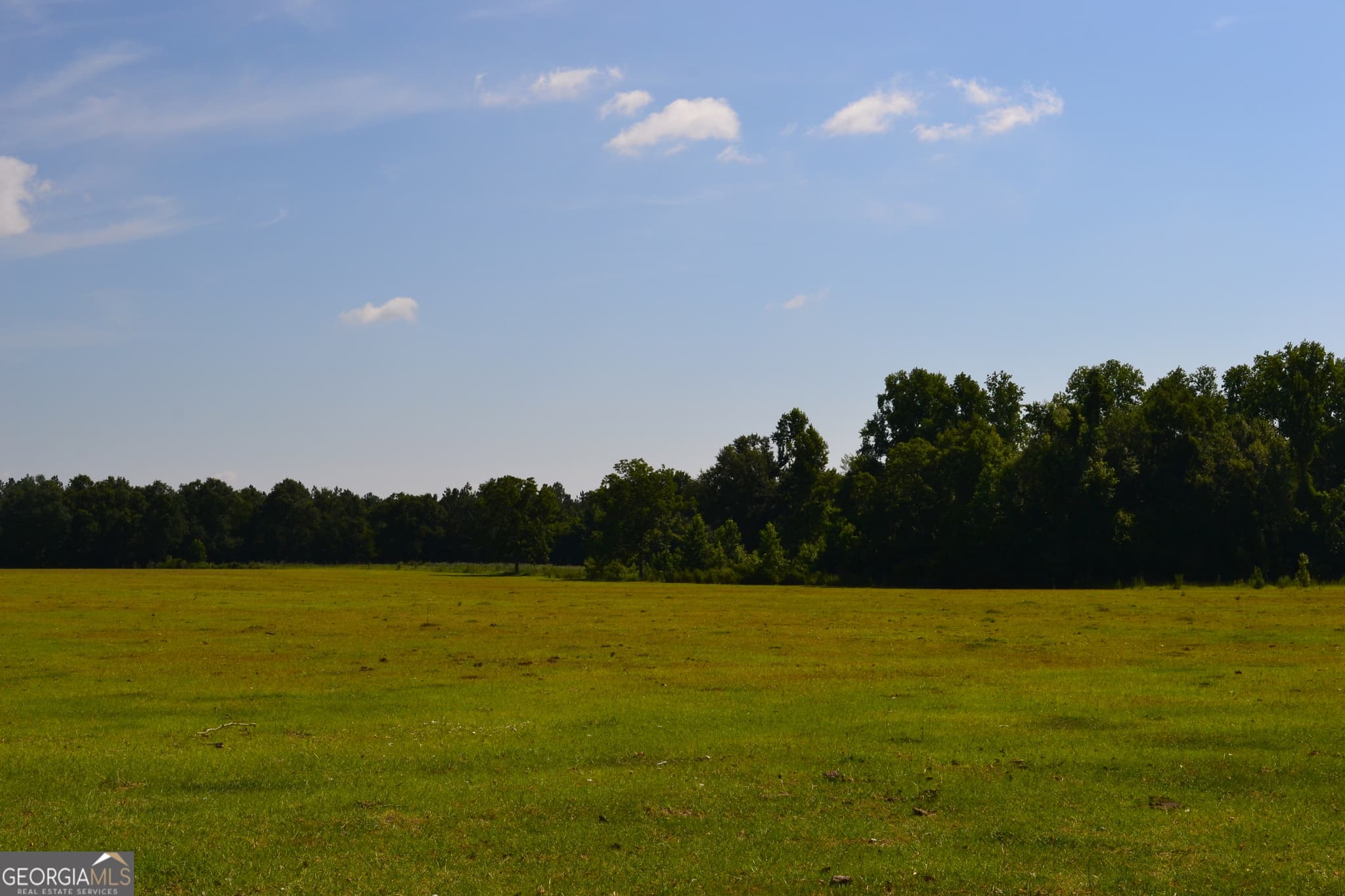 agriculture under contract at BISHOP Canoochee Road, Midville, GA 30441 — photo 2