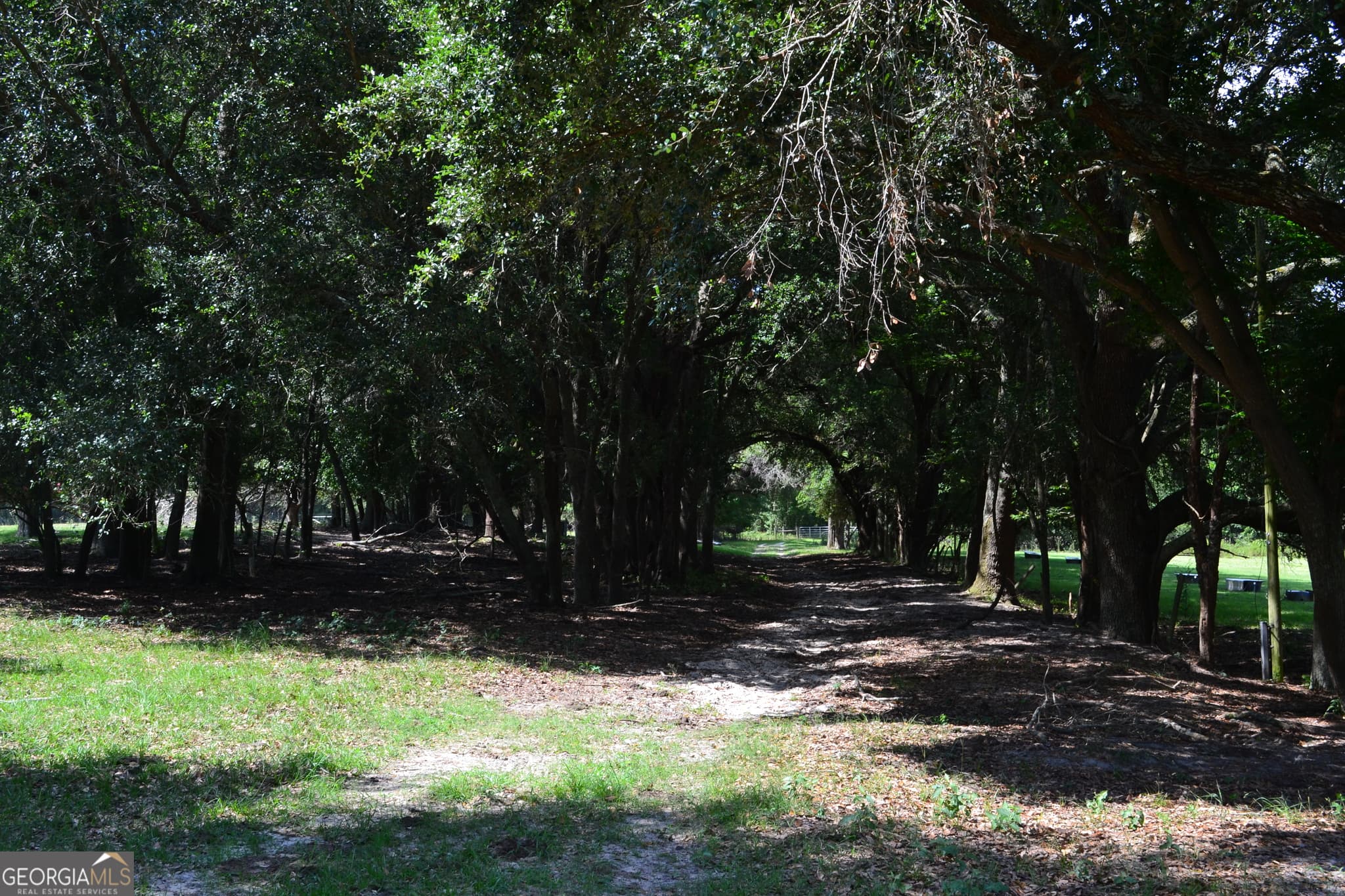 agriculture under contract at BISHOP Canoochee Road, Midville, GA 30441 — photo 5