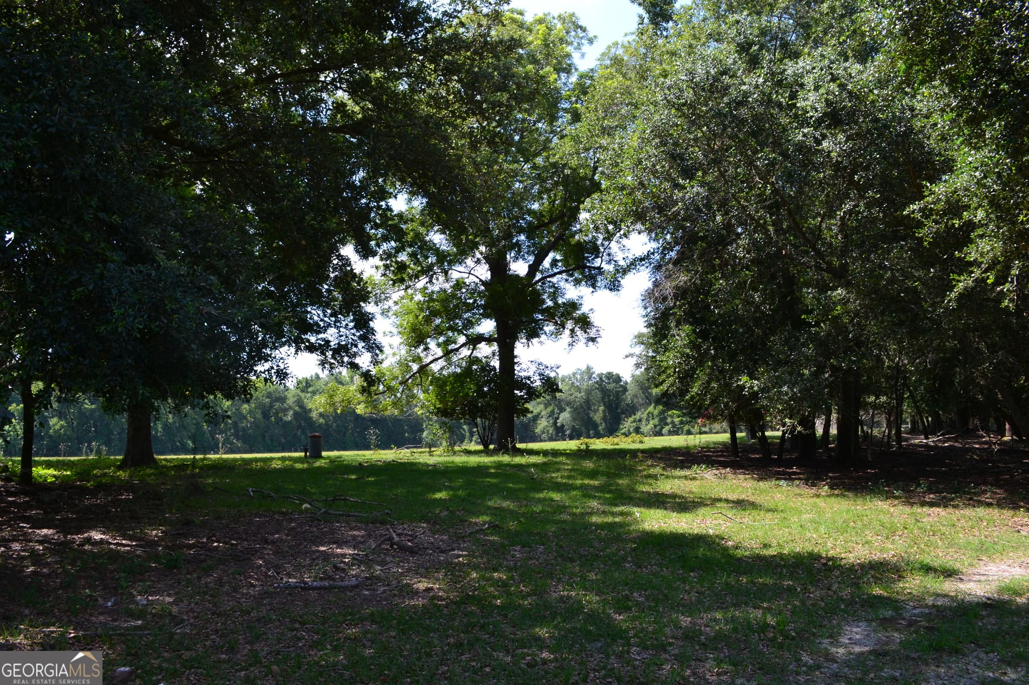 agriculture under contract at BISHOP Canoochee Road, Midville, GA 30441 — photo 4