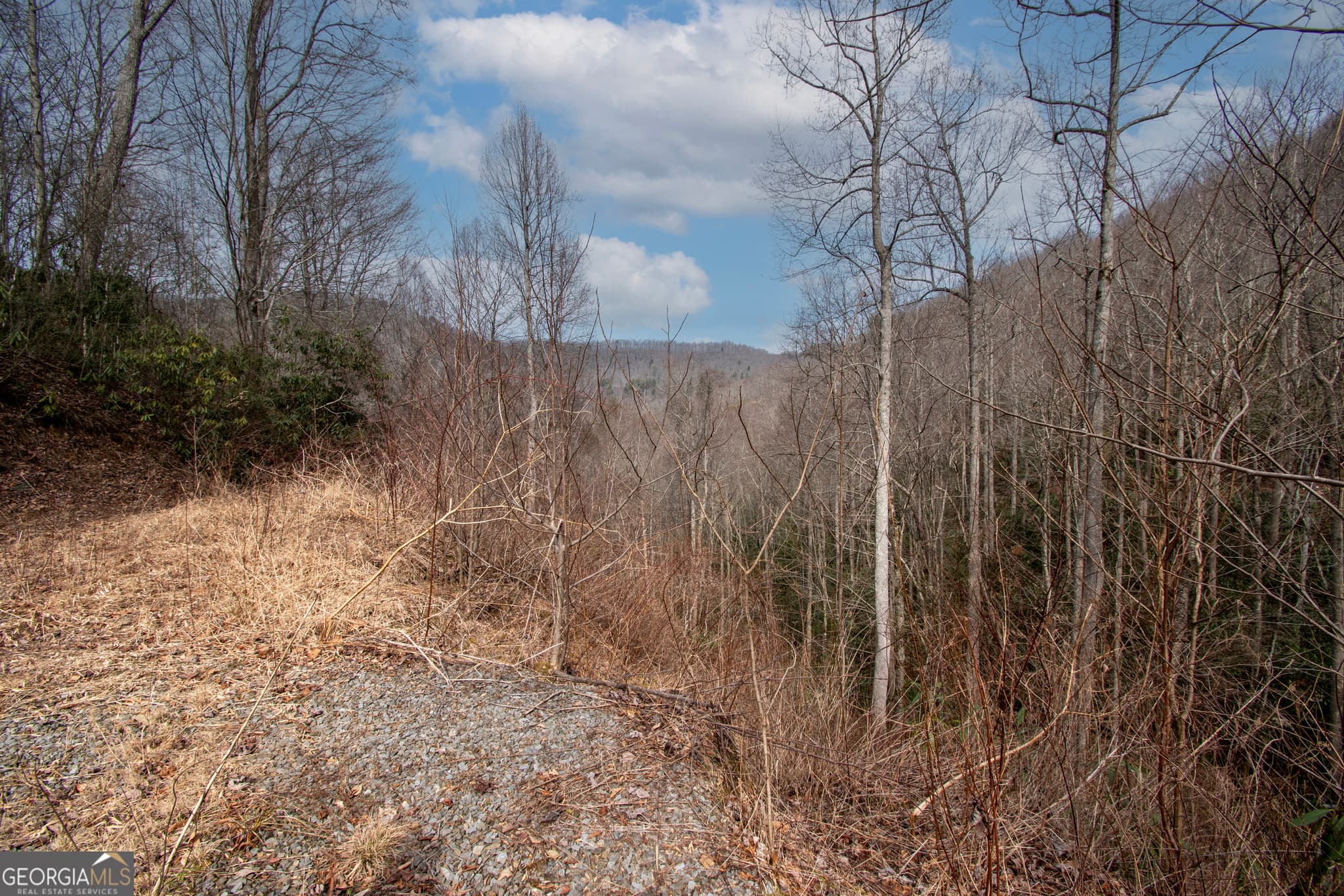 residential lot for sale at 0 Walnut Cove Branch Road, Robbinville, NC 28771 — photo 2