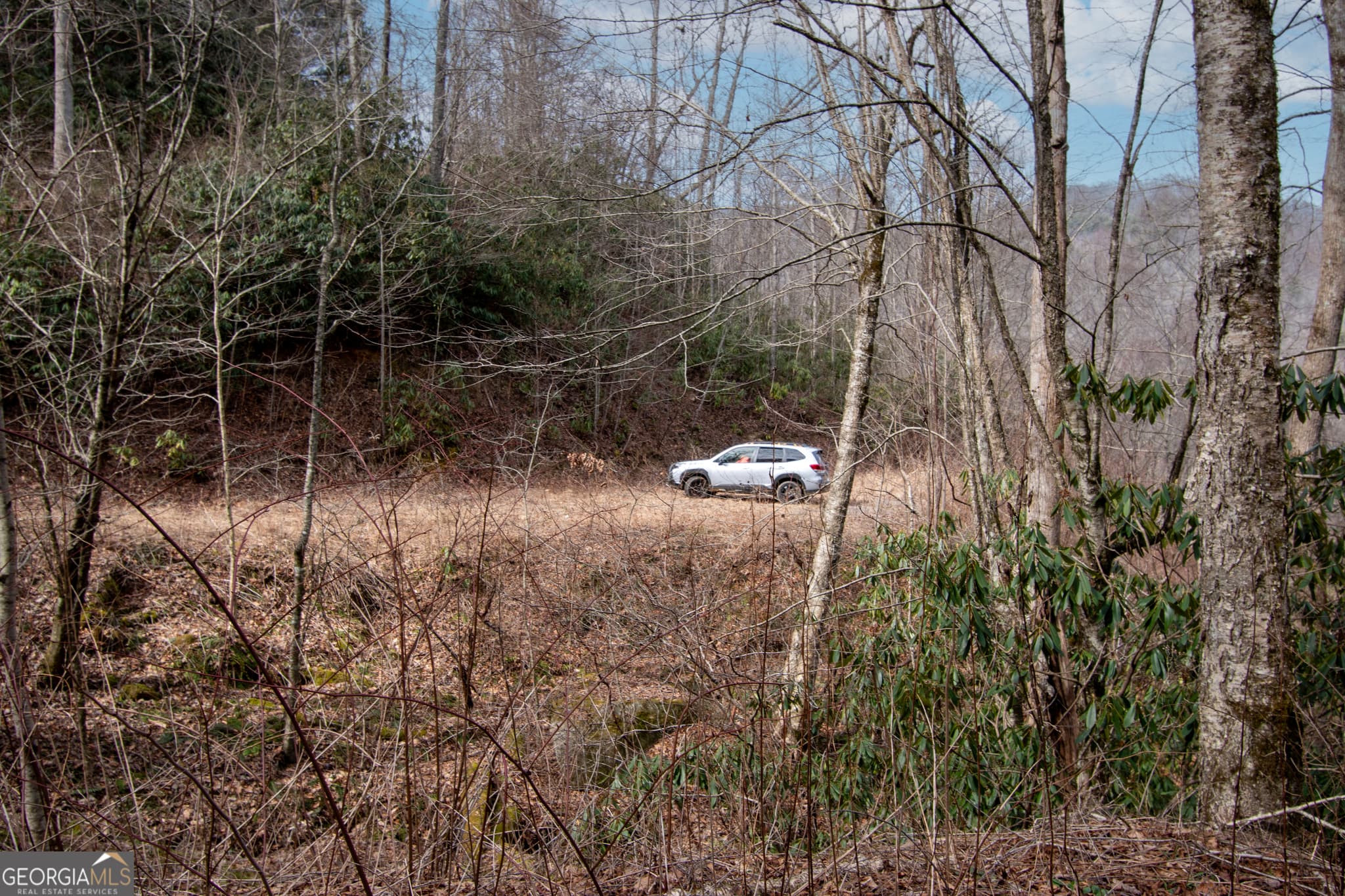 residential lot for sale at 0 Walnut Cove Branch Road, Robbinville, NC 28771 — photo 6