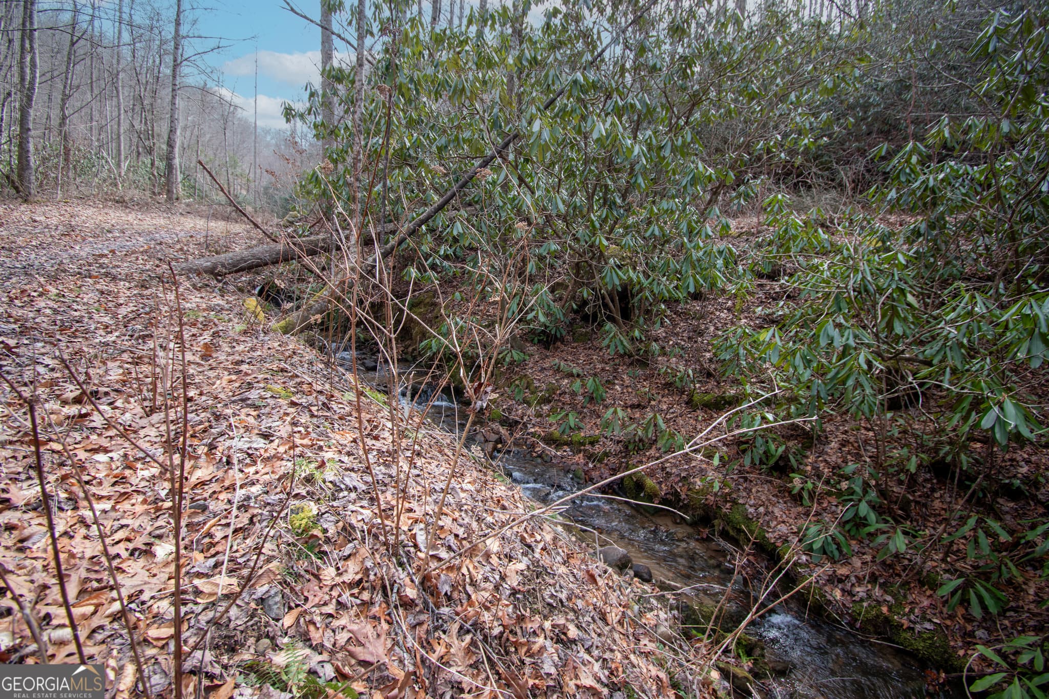residential lot for sale at 0 Walnut Cove Branch Road, Robbinville, NC 28771 — photo 7